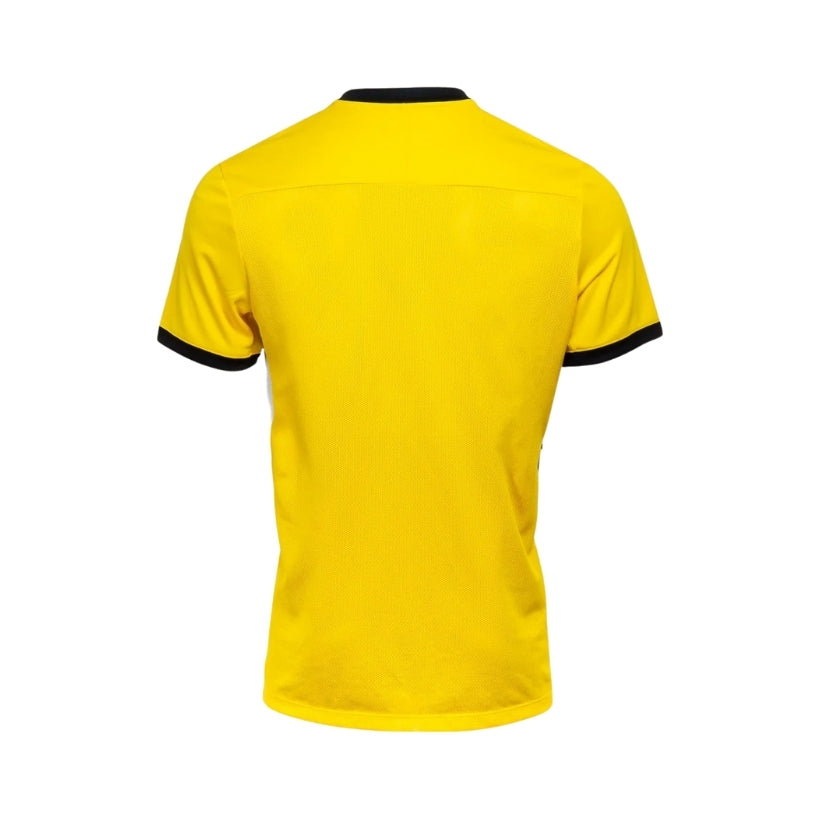 BSC Young Boys Treino 25/26