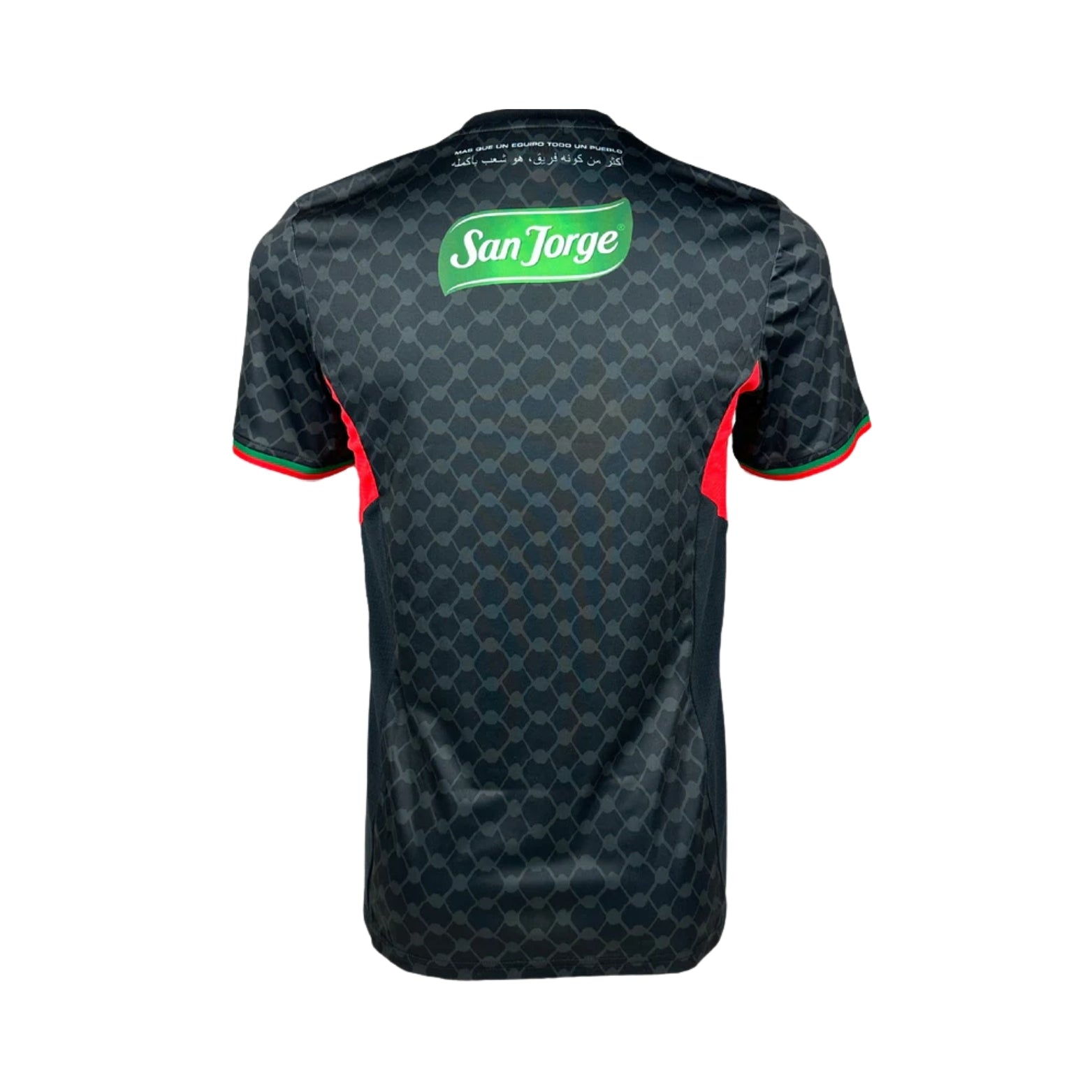 CD Palestino Alternative 24/25