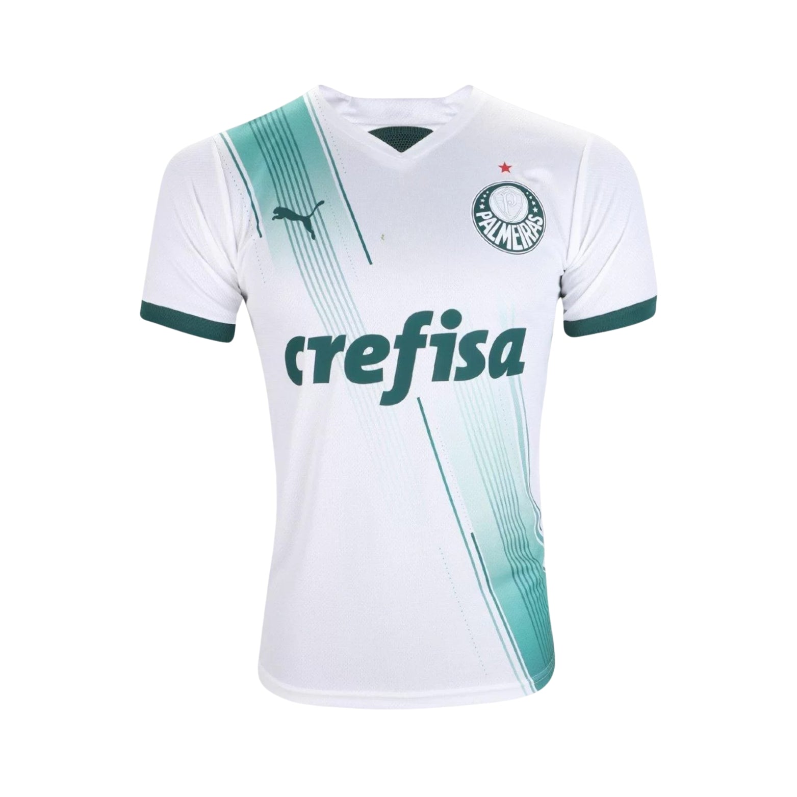 Palmeiras Alternative 23/24
