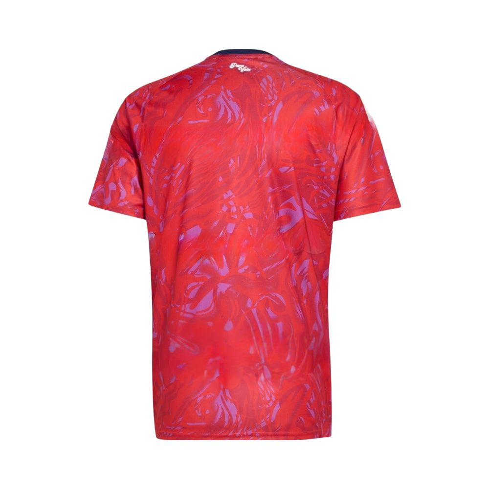 Costa Rica Principal 26/27 - Mundial 2026