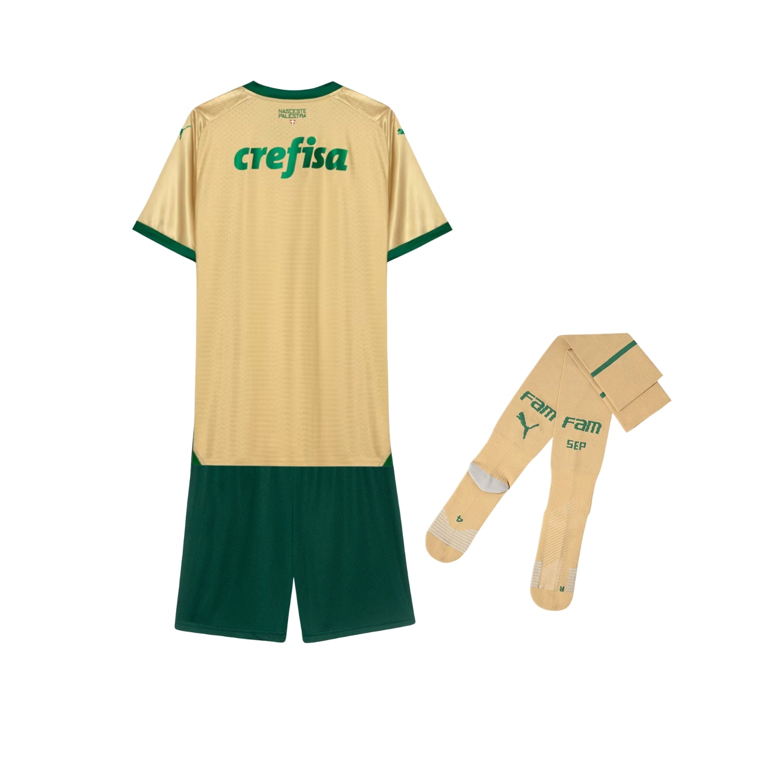 Children's Kit - Palmeiras Third 24/25