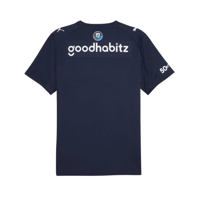 PSV Alternative 25/26