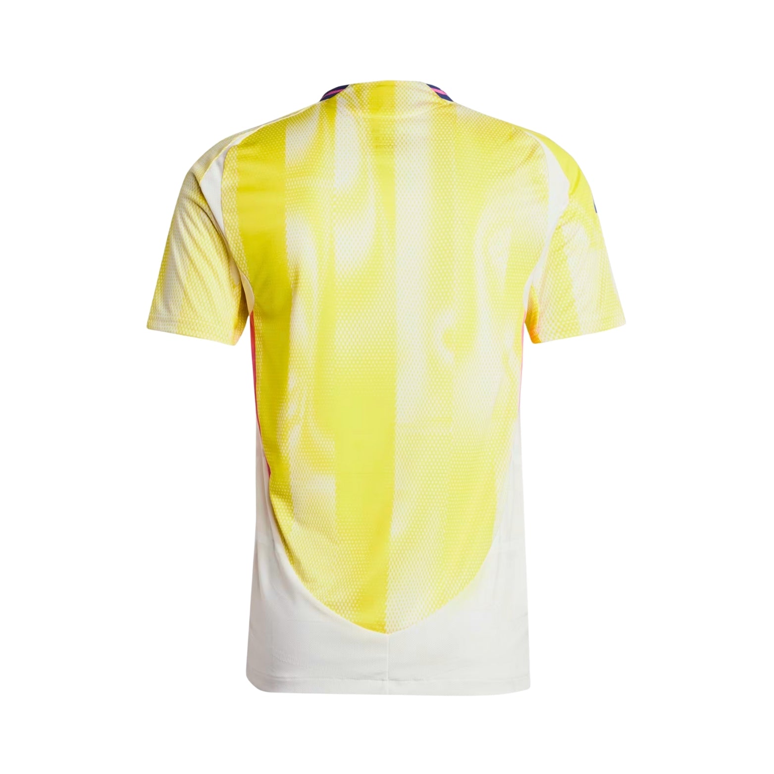 Juventus Éxterieur 24/25