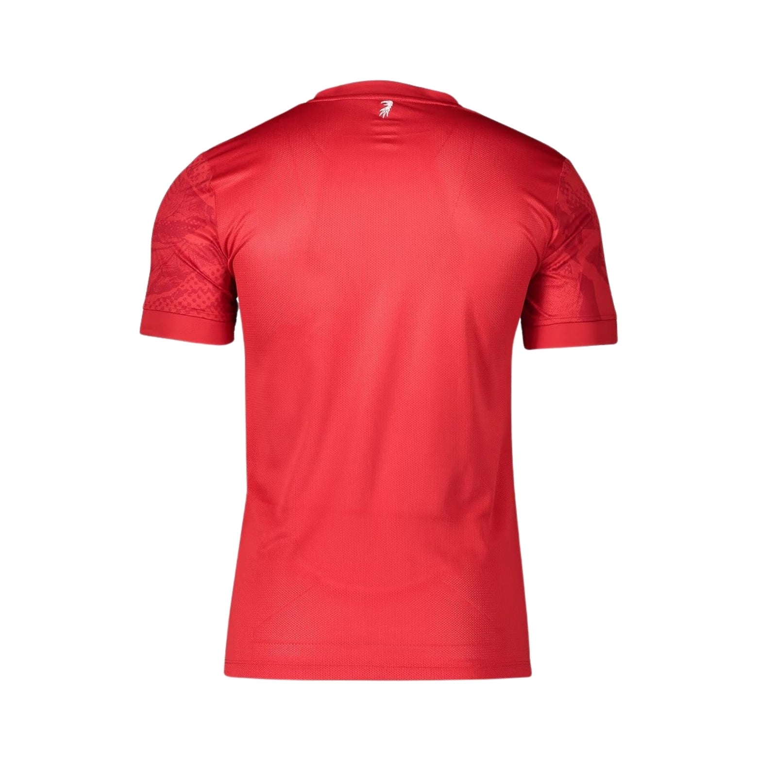 SC Freiburg Training 25/26