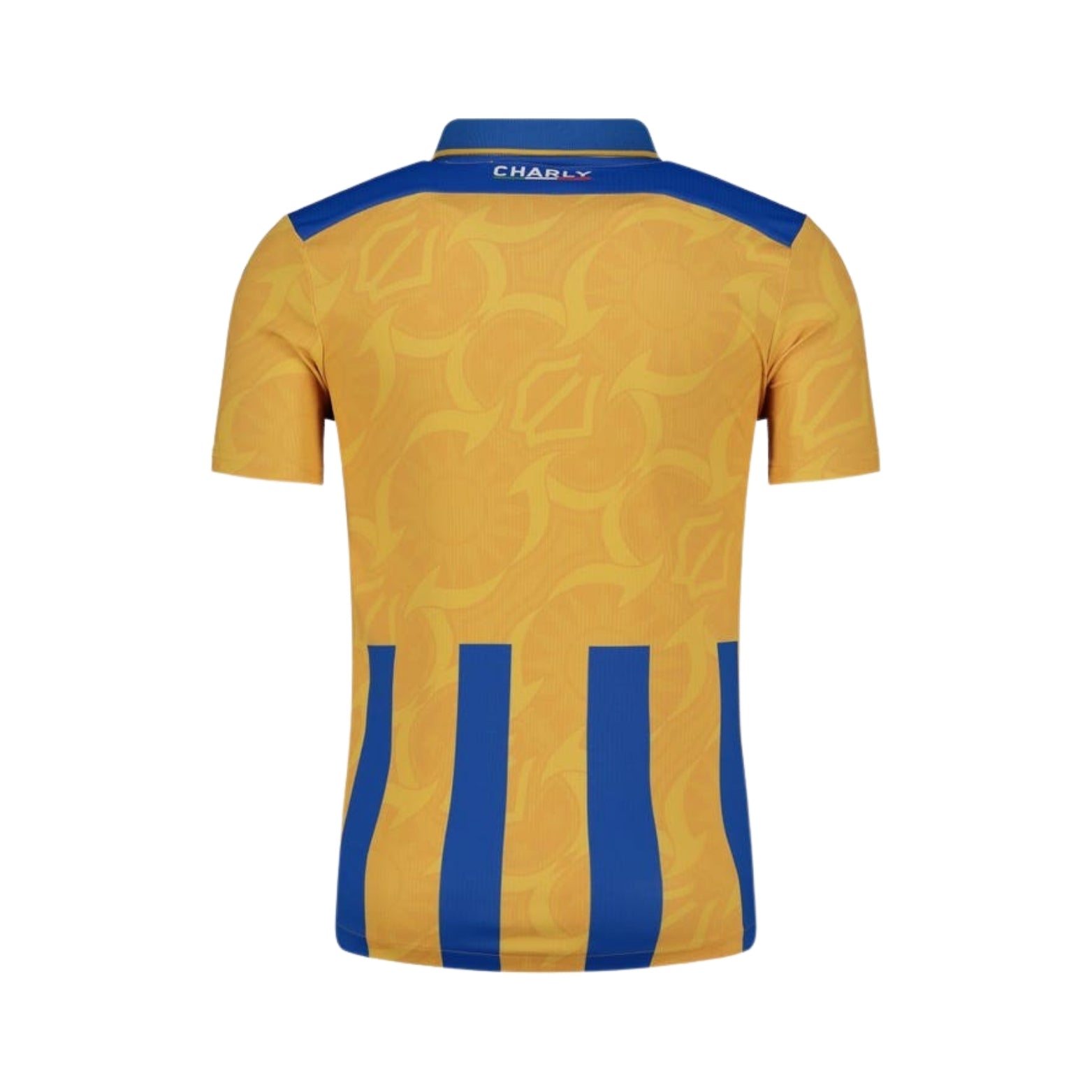 Everton de Viña del Mar Alternativa 25/26