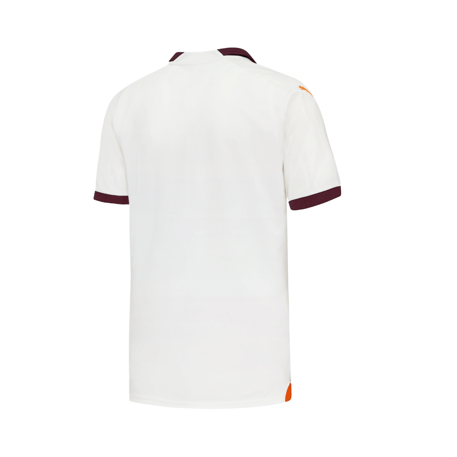 Manchester City Alternative 23/24