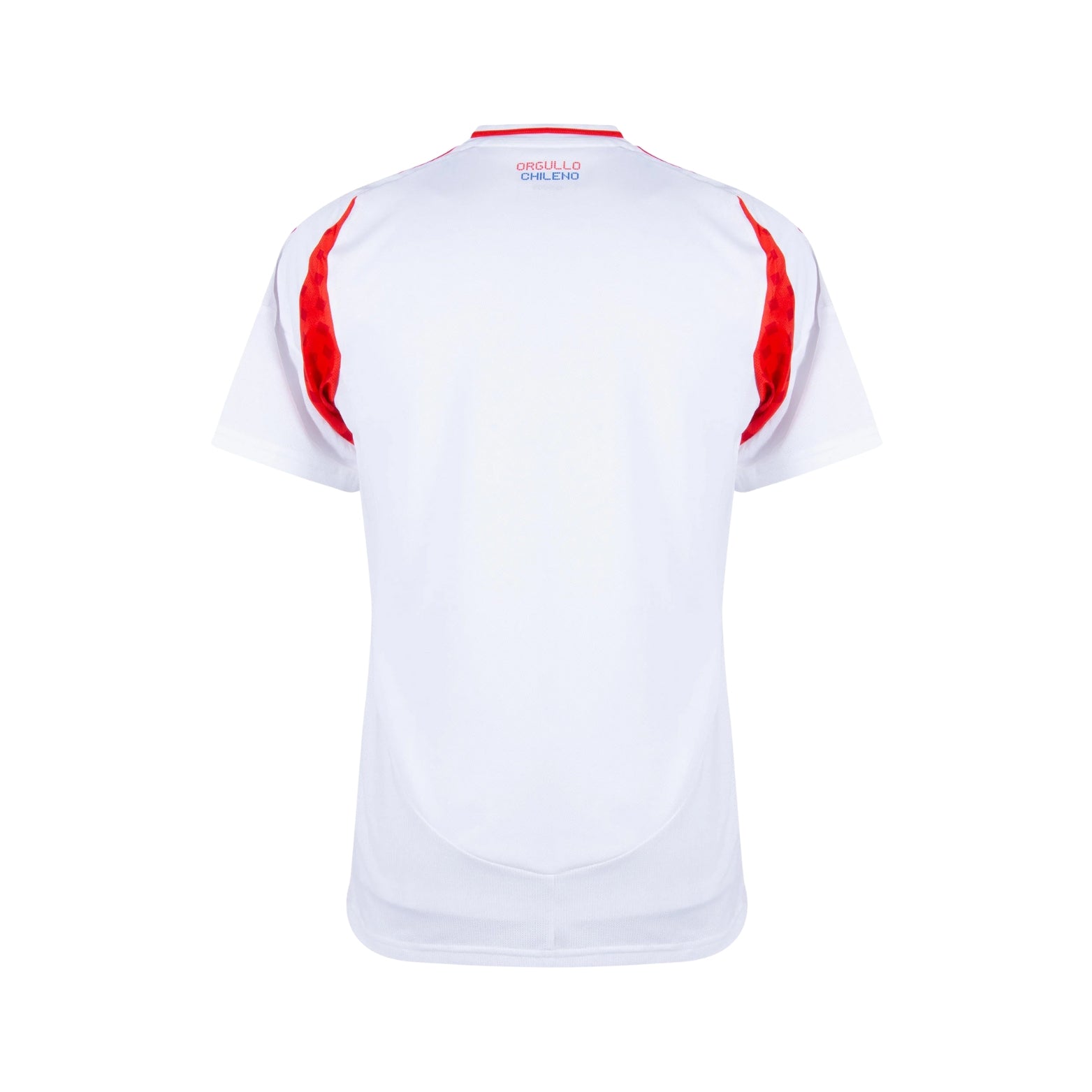 Chile Alternativa 24/25 - Copa América 2024