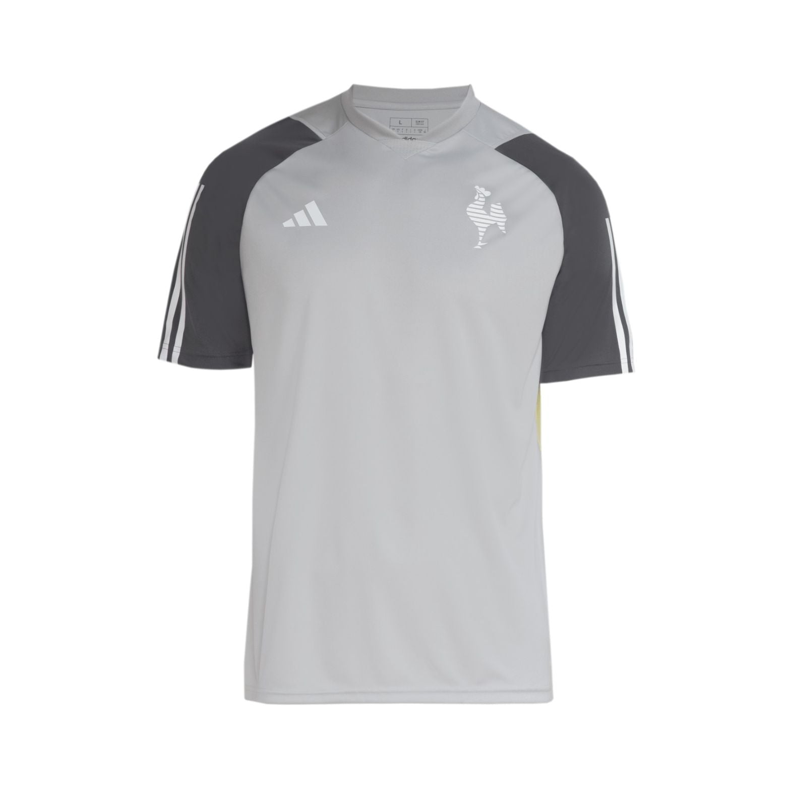 Atlético Mineiro Treino 24/25