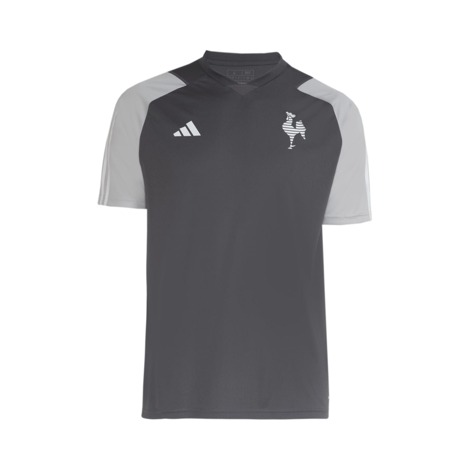 Atlético Mineiro Treino 24/25