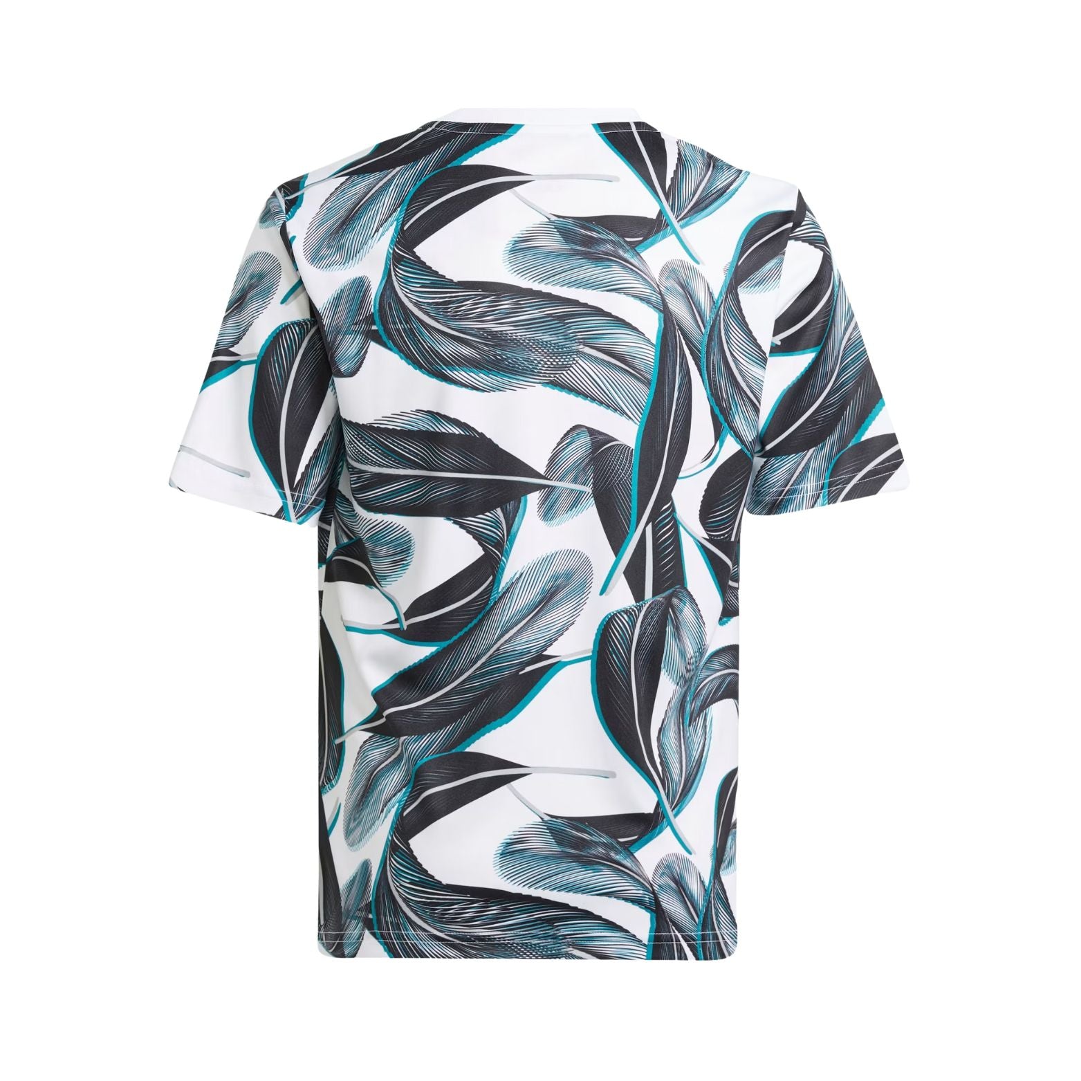 Newcastle United Pré-Jogo 24/25