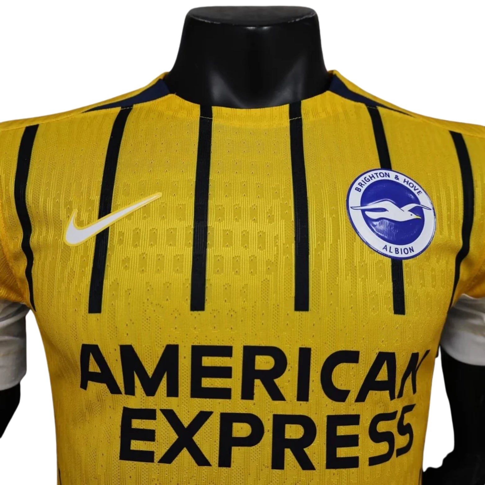 Brighton Alternative 24/25 - Player Version