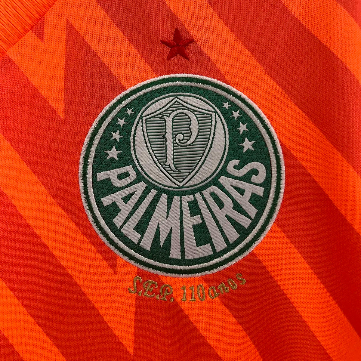 Palmeiras Goalkeeper 24/25