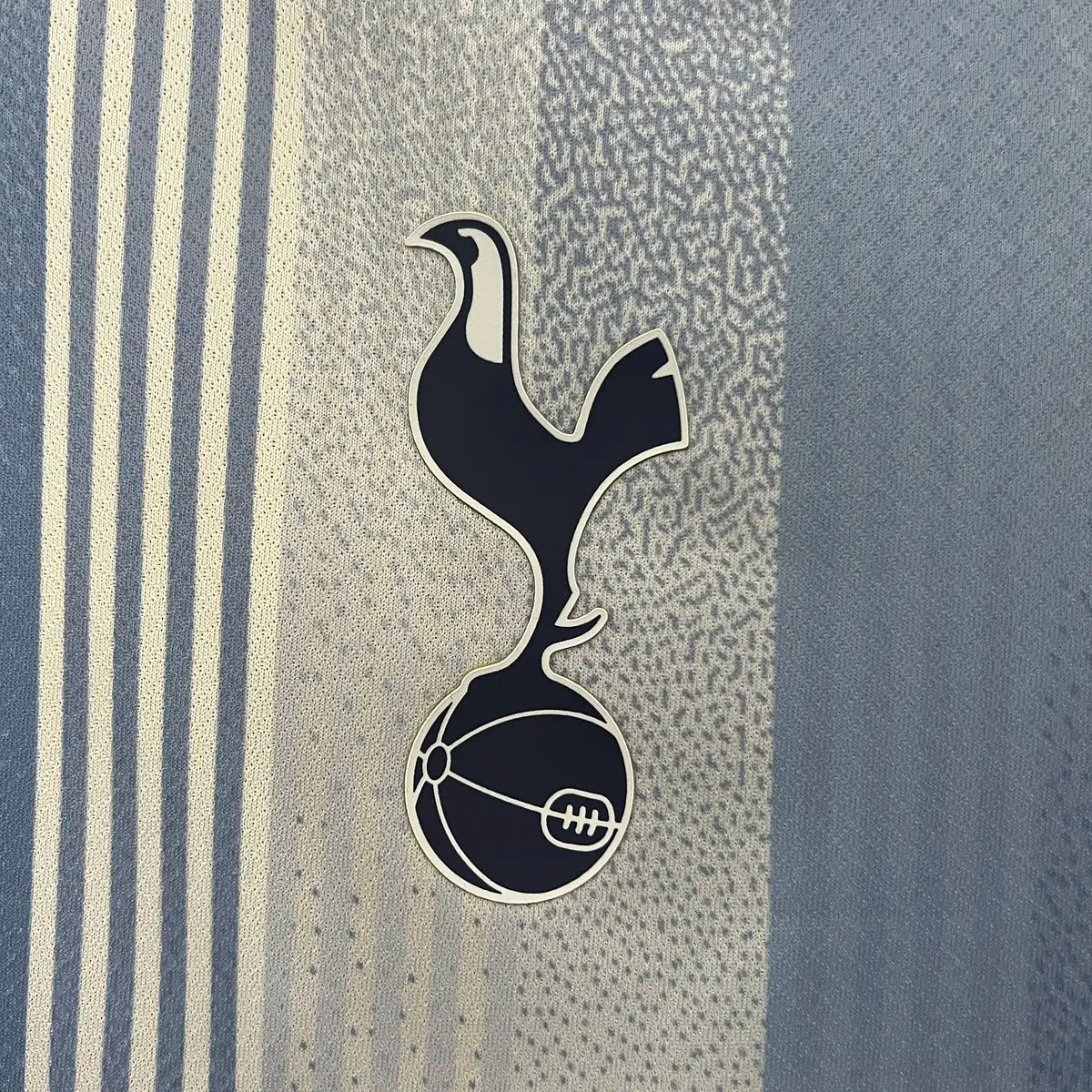 Tottenham Hotspur F.C. Alternativa 24/25