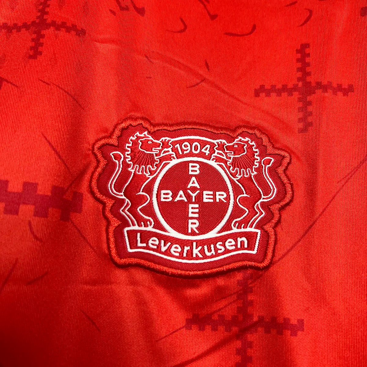 Bayer 04 Leverkusen Alternativa 24/25