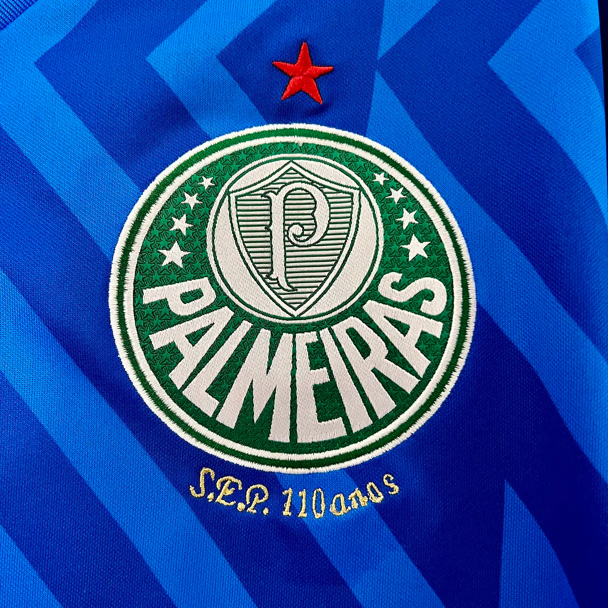 Palmeiras Guarda-Redes 24/25