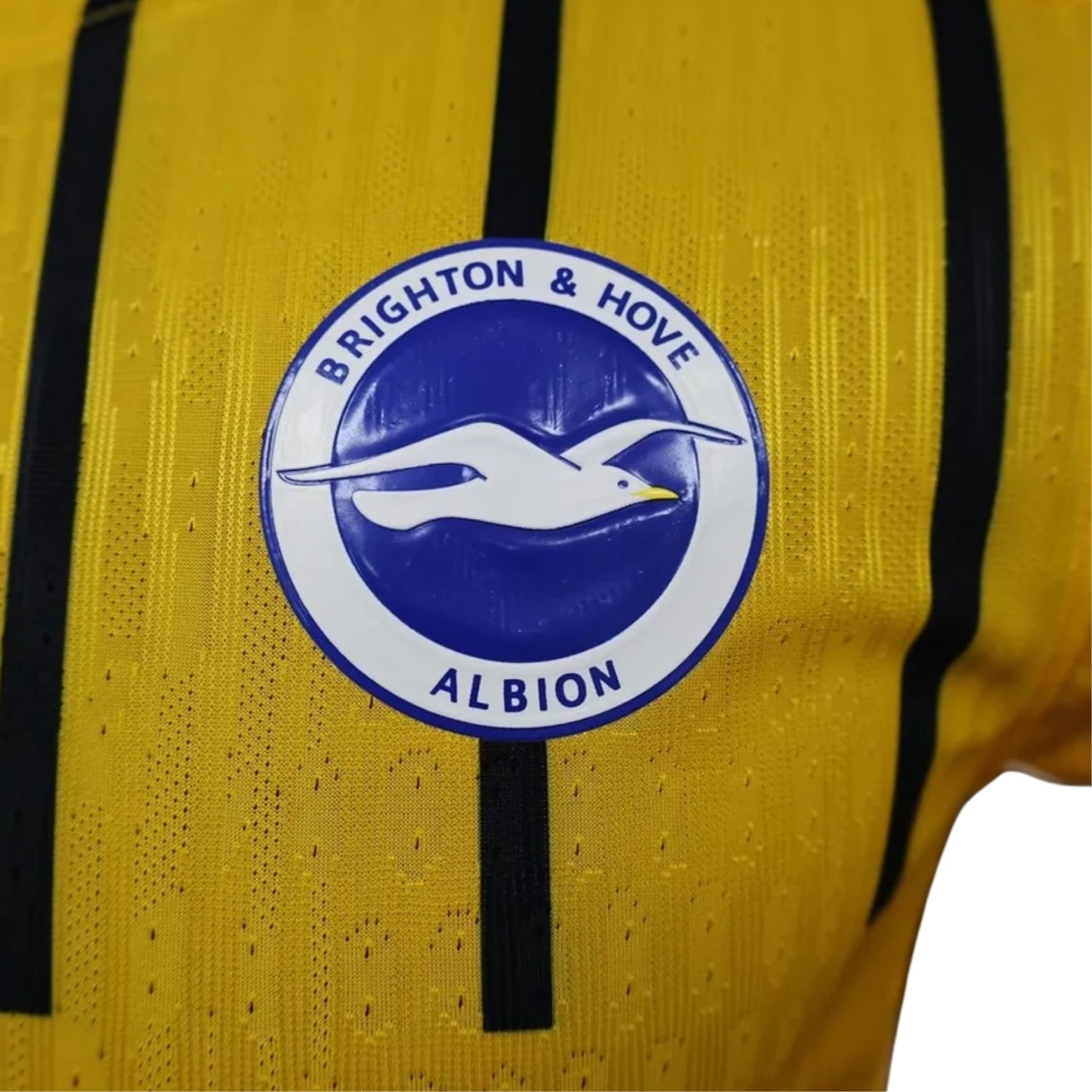 Brighton Alternative 24/25 - Player Version