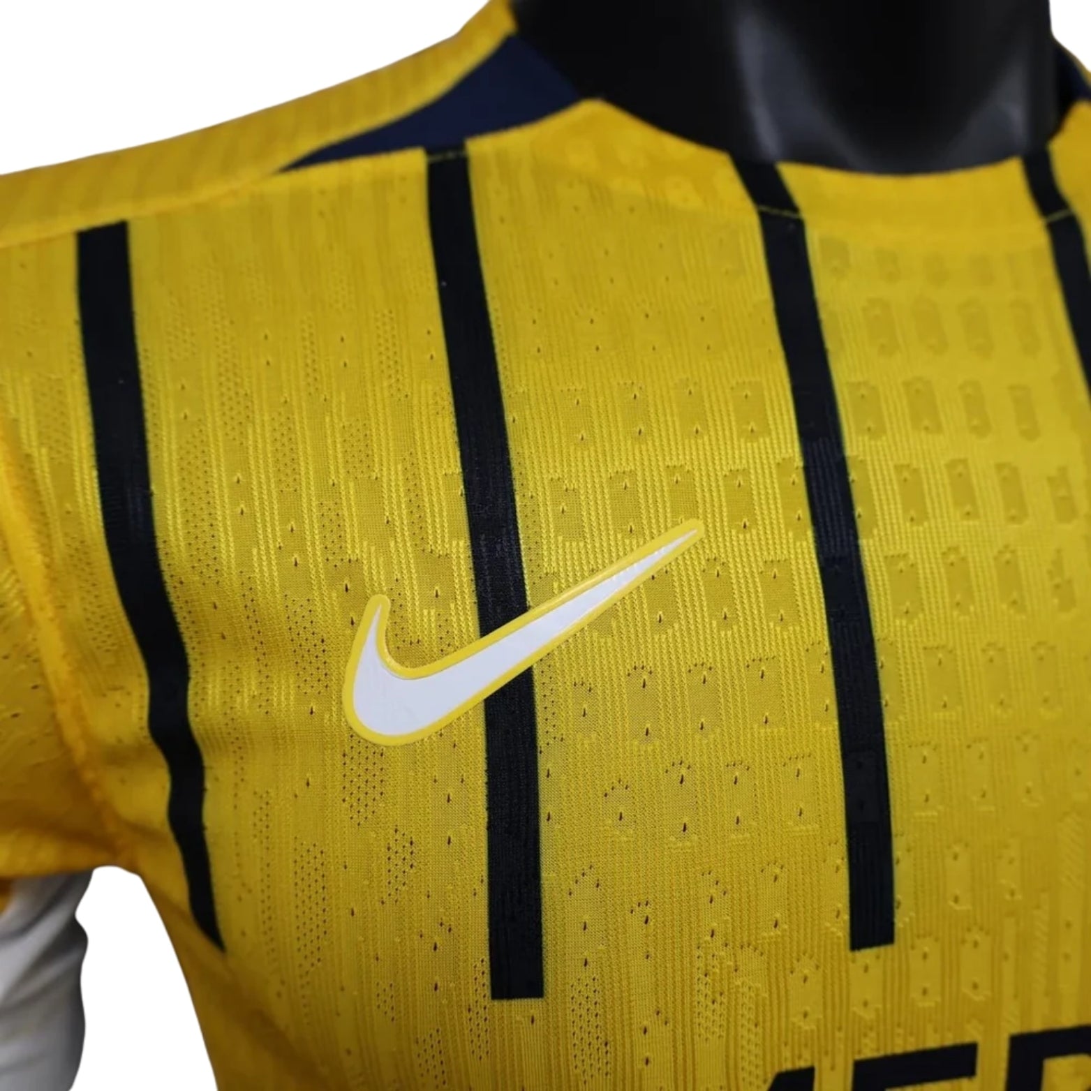 Brighton Alternative 24/25 - Player Version