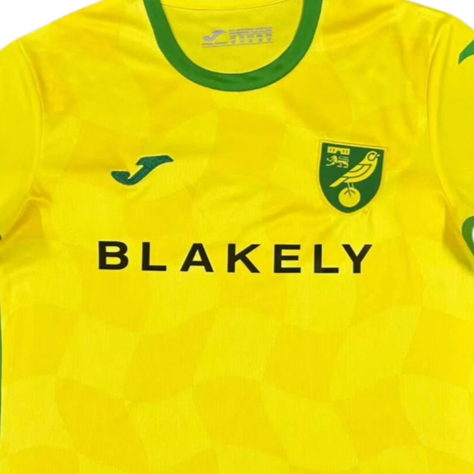 Norwich City F.C. Principal 24/25