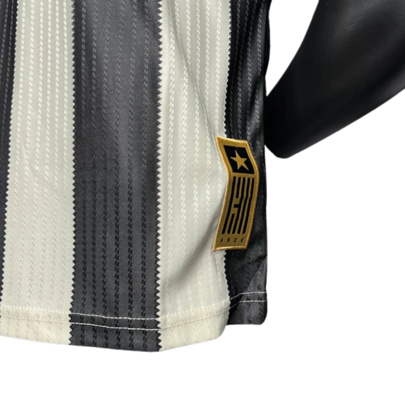 Botafogo Principal 24/25 - Versão Jogador