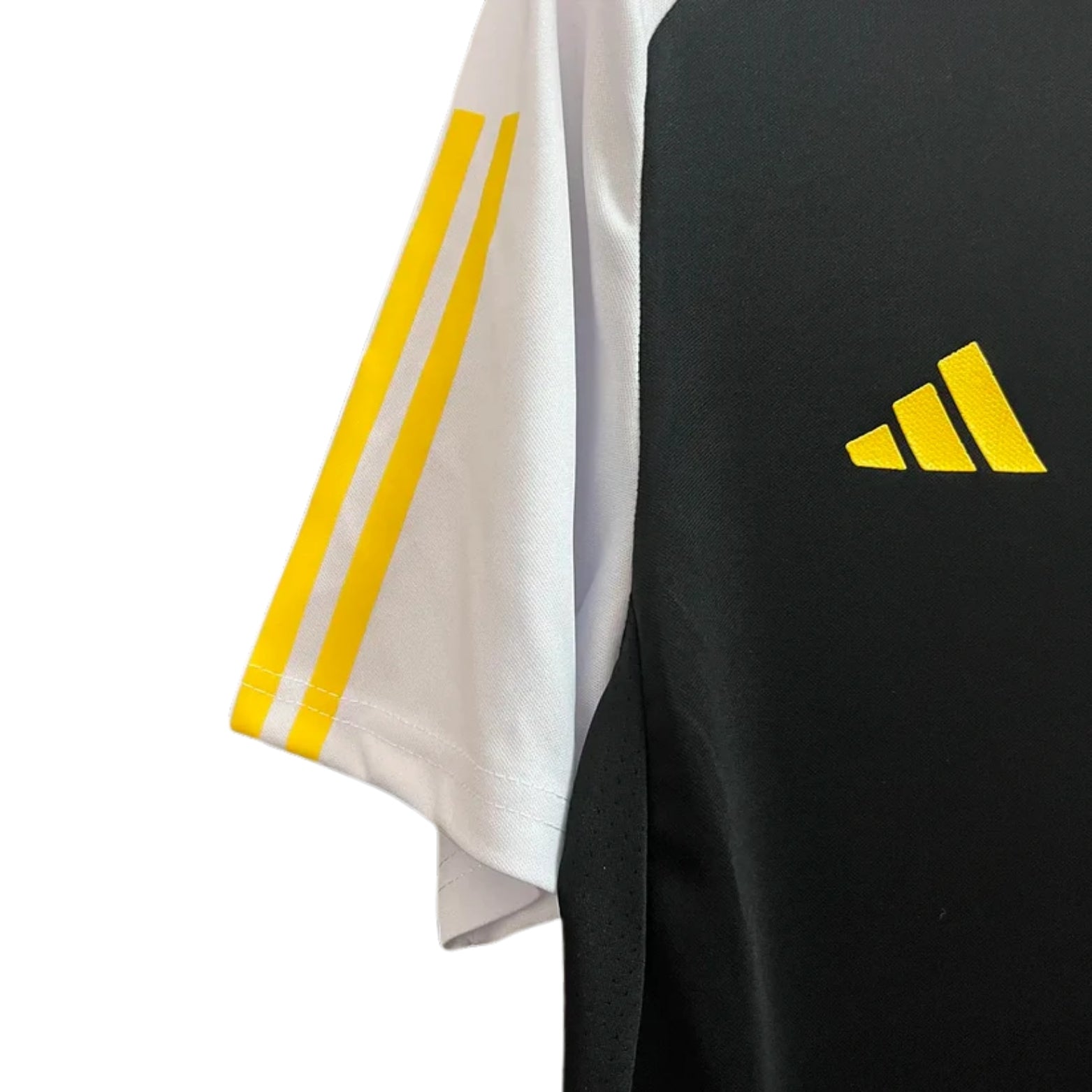 Colo-Colo Treino 24/25