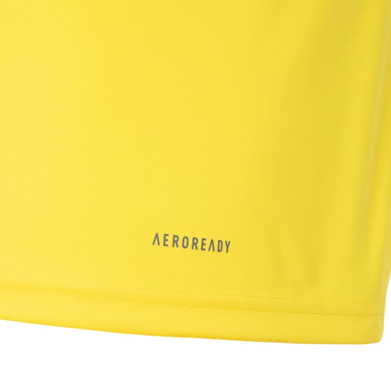 Flamengo Treino 24/25