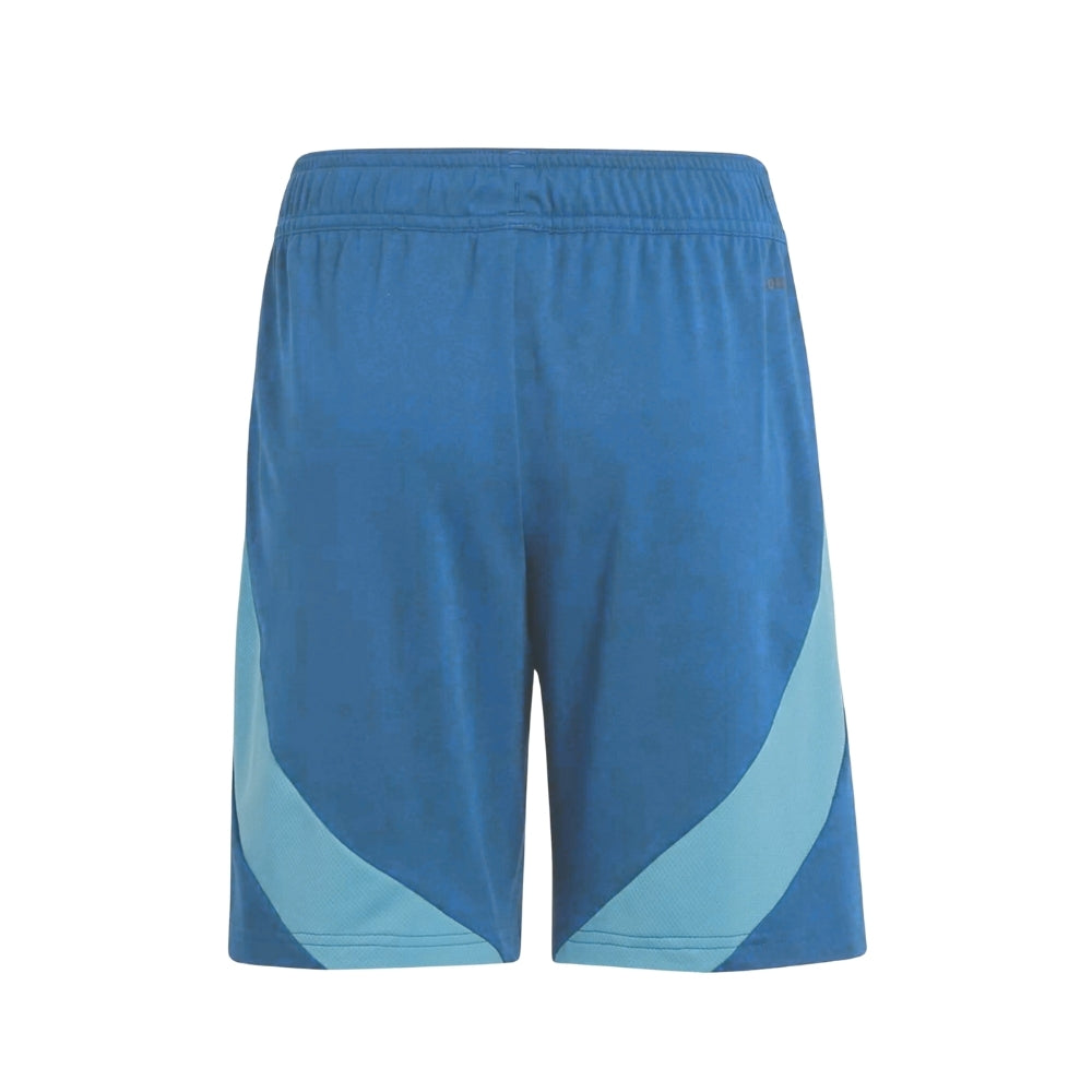 Shorts - Ajax Alternative 24/25