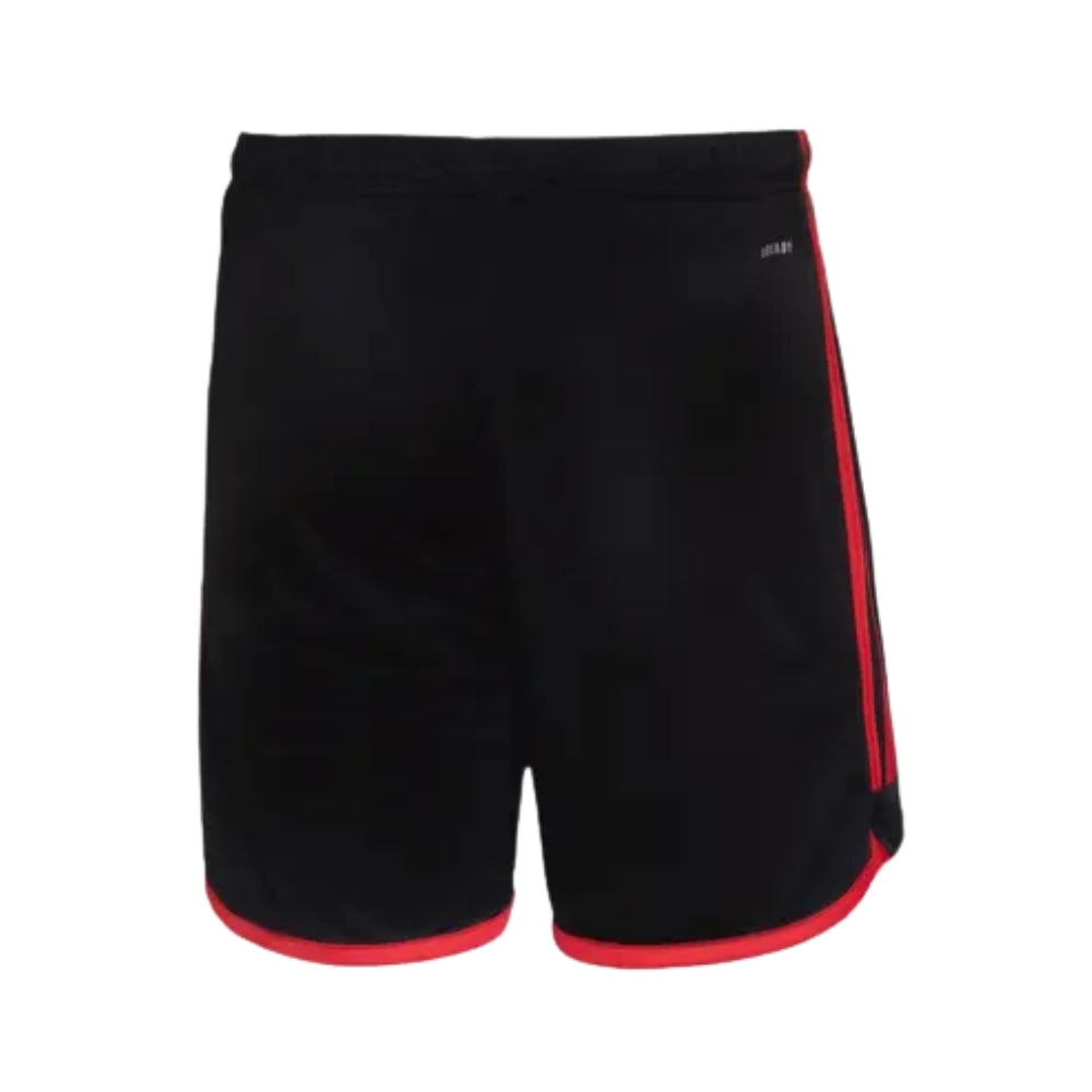 Shorts - Flamengo Alternative 24/25