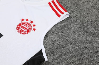 Training Kit - Bayern Munich 23/24 - Cava Sleeve