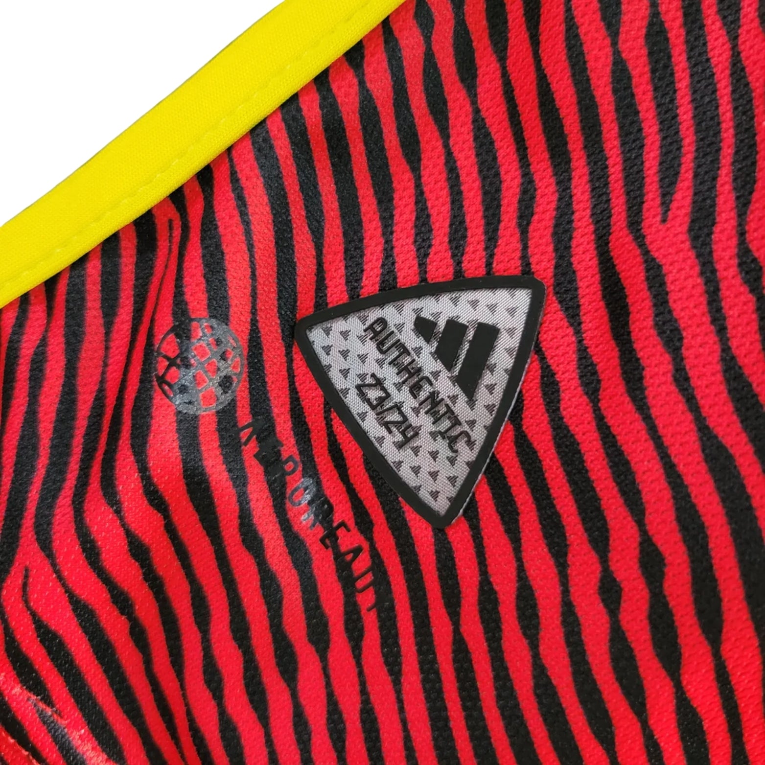 Seattle Alternativa 23/24 - Versão Jogador