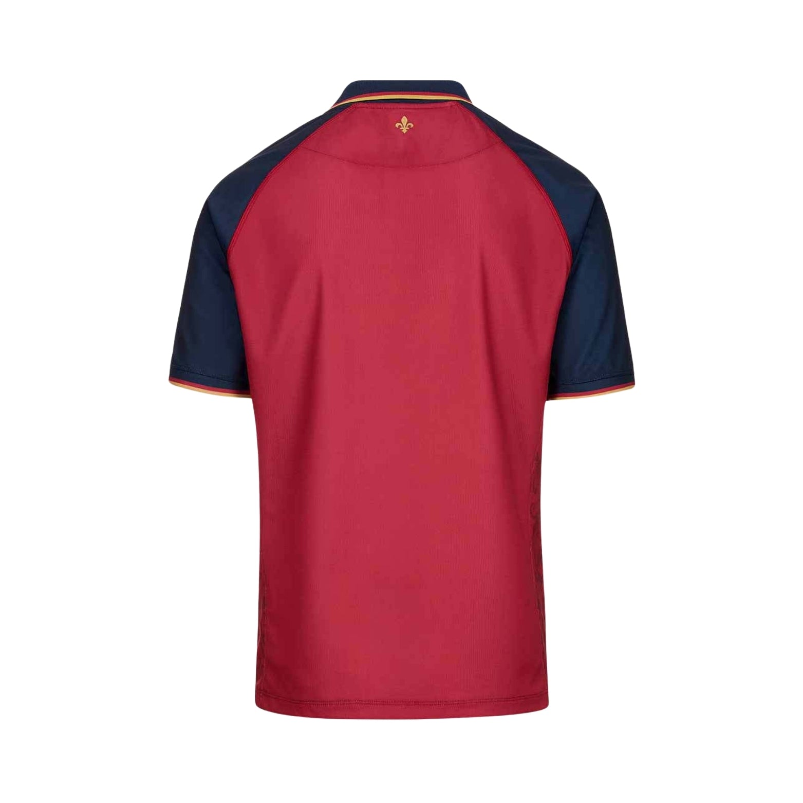 FC Versailles Terceiro 24/25