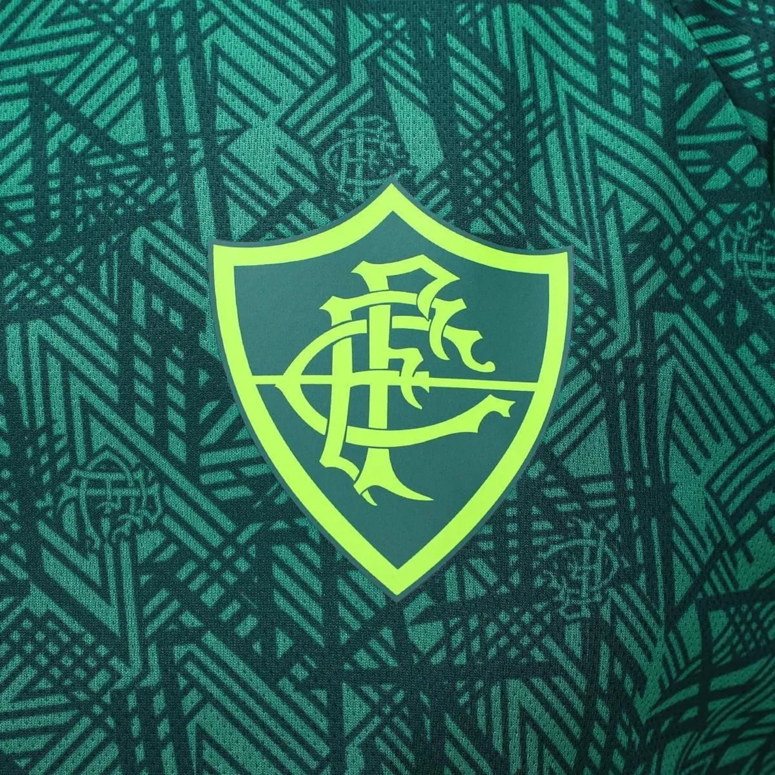 Fluminense Treino 24/25