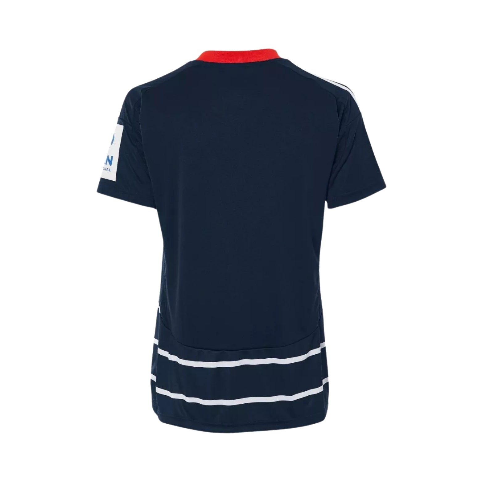 Hamburgo SV Alternativa 24/25