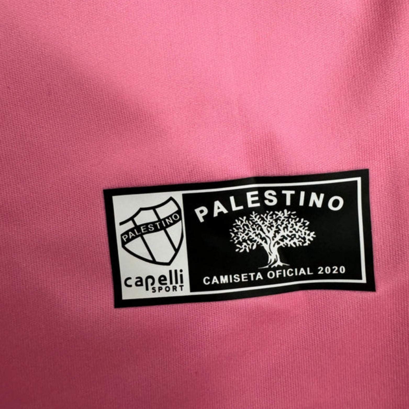 CD Palestino Edição Especial 24/25