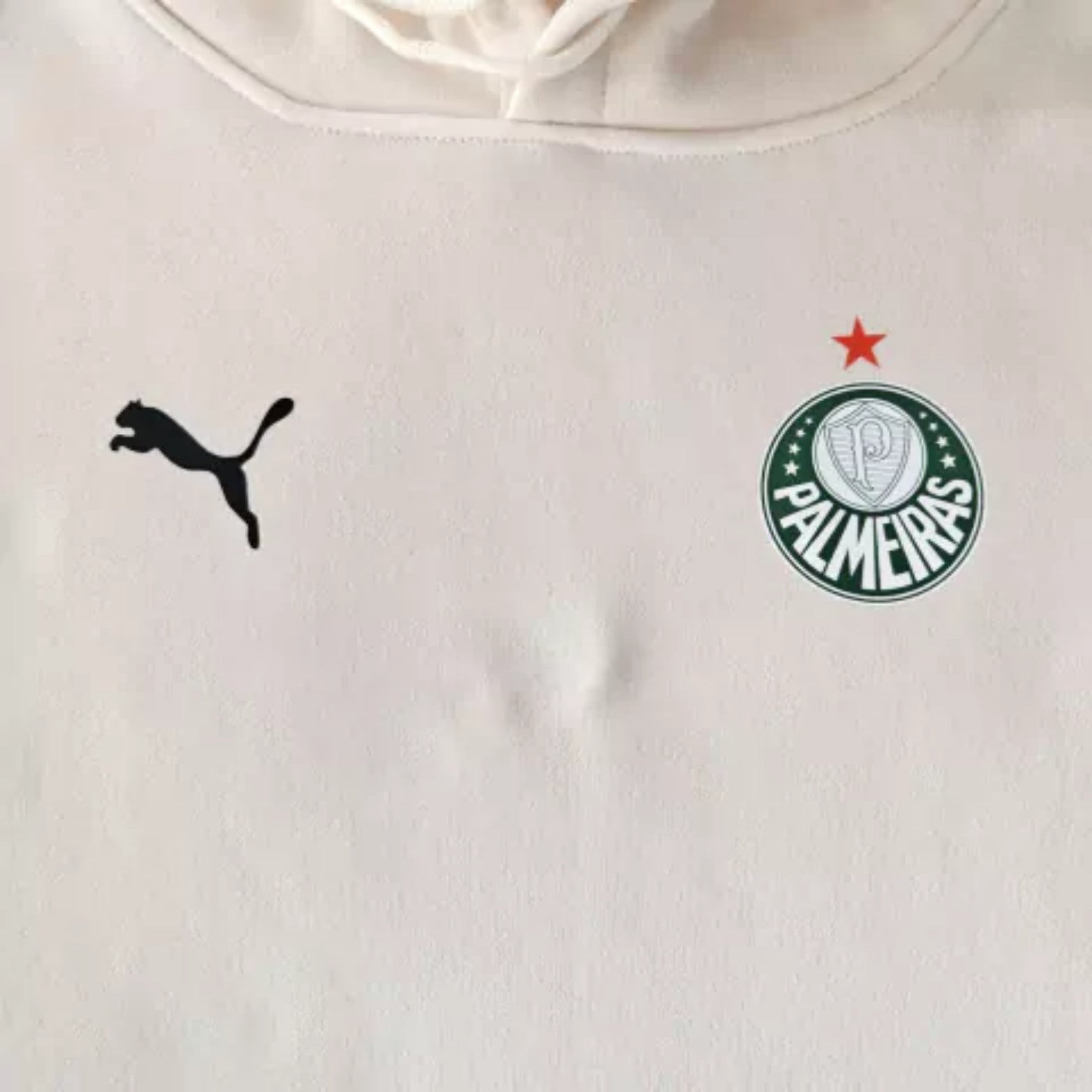 Palmeiras 25/26 - Sweat c/ Capuz