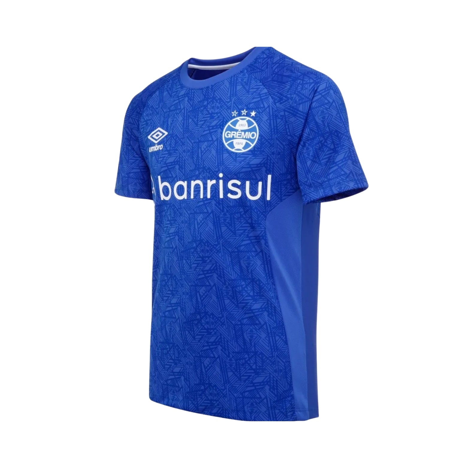 Grêmio Treino 24/25