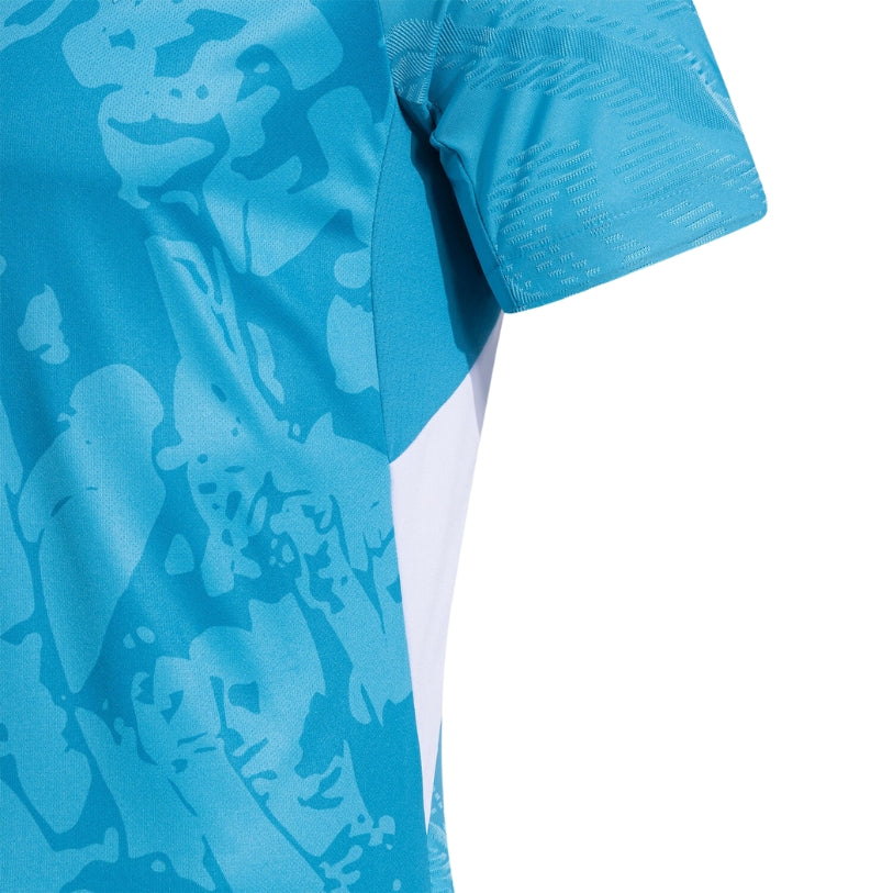 Hoffenheim Alternativa 25/26