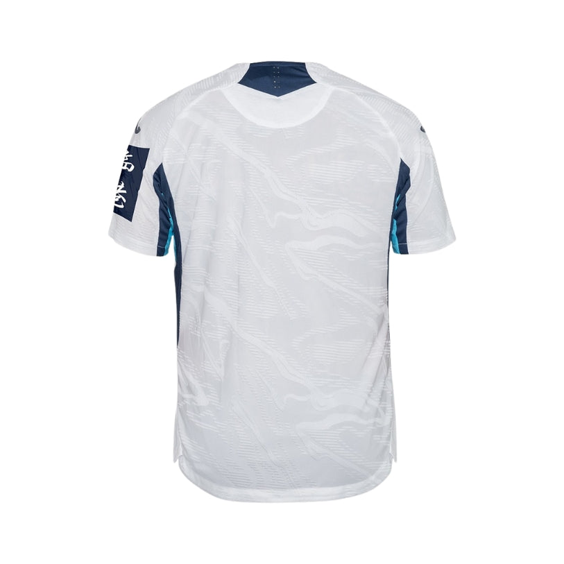 Hoffenheim Terceiro 25/26