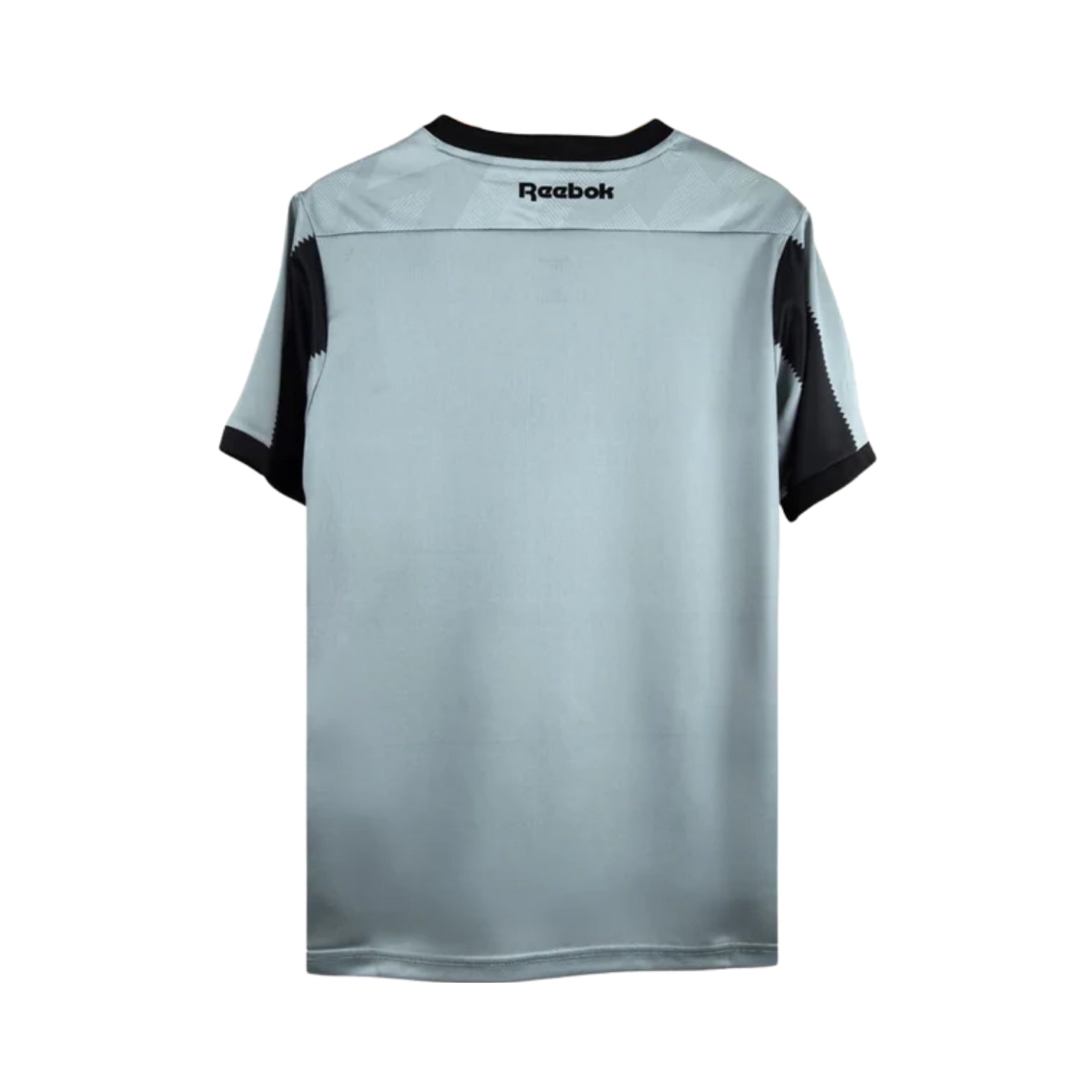 Botafogo Treino 24/25