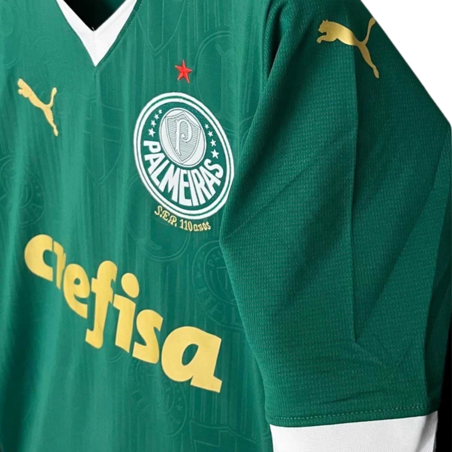 Palmeiras Principal 24/25