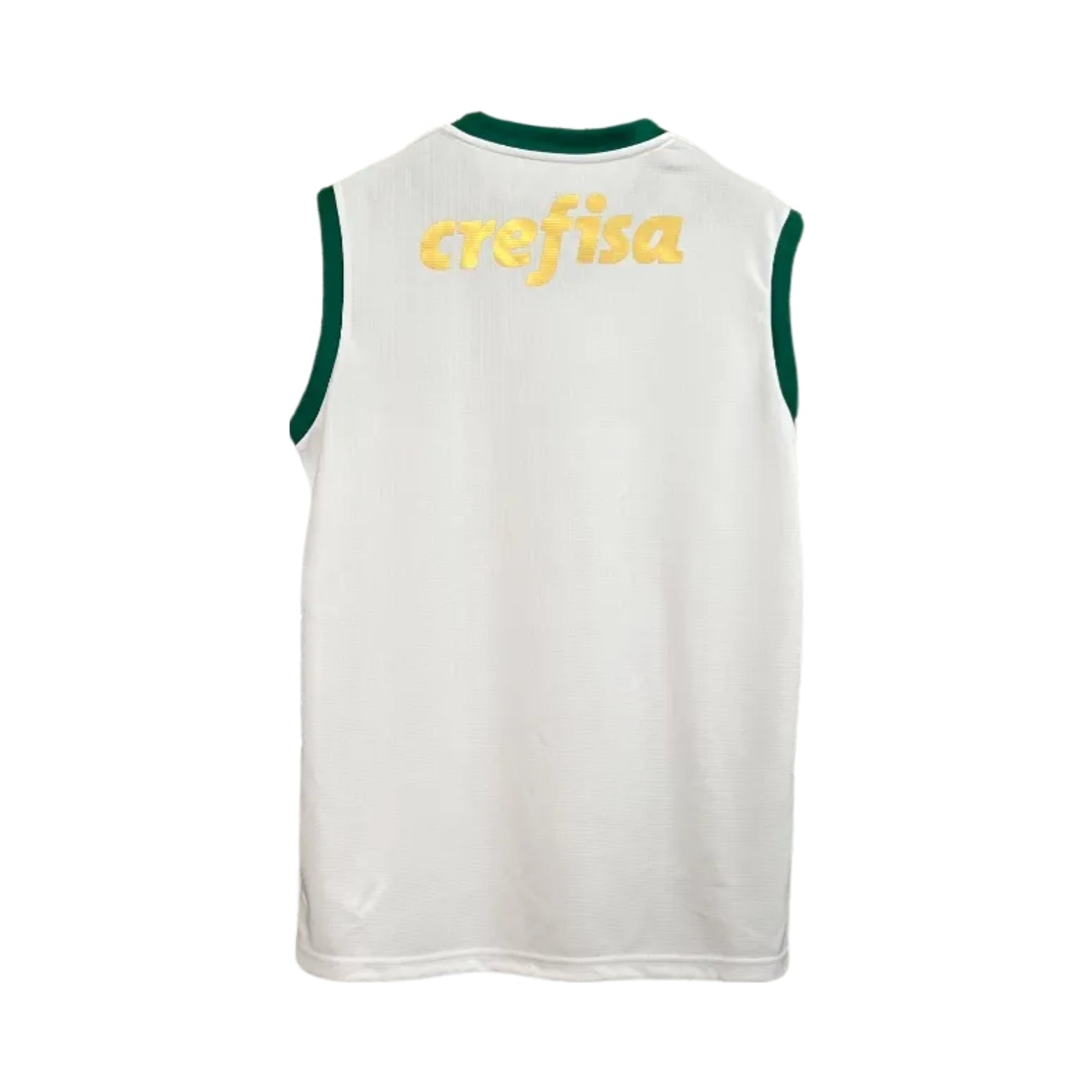 Palmeiras Training 23/24 - Manga Cava