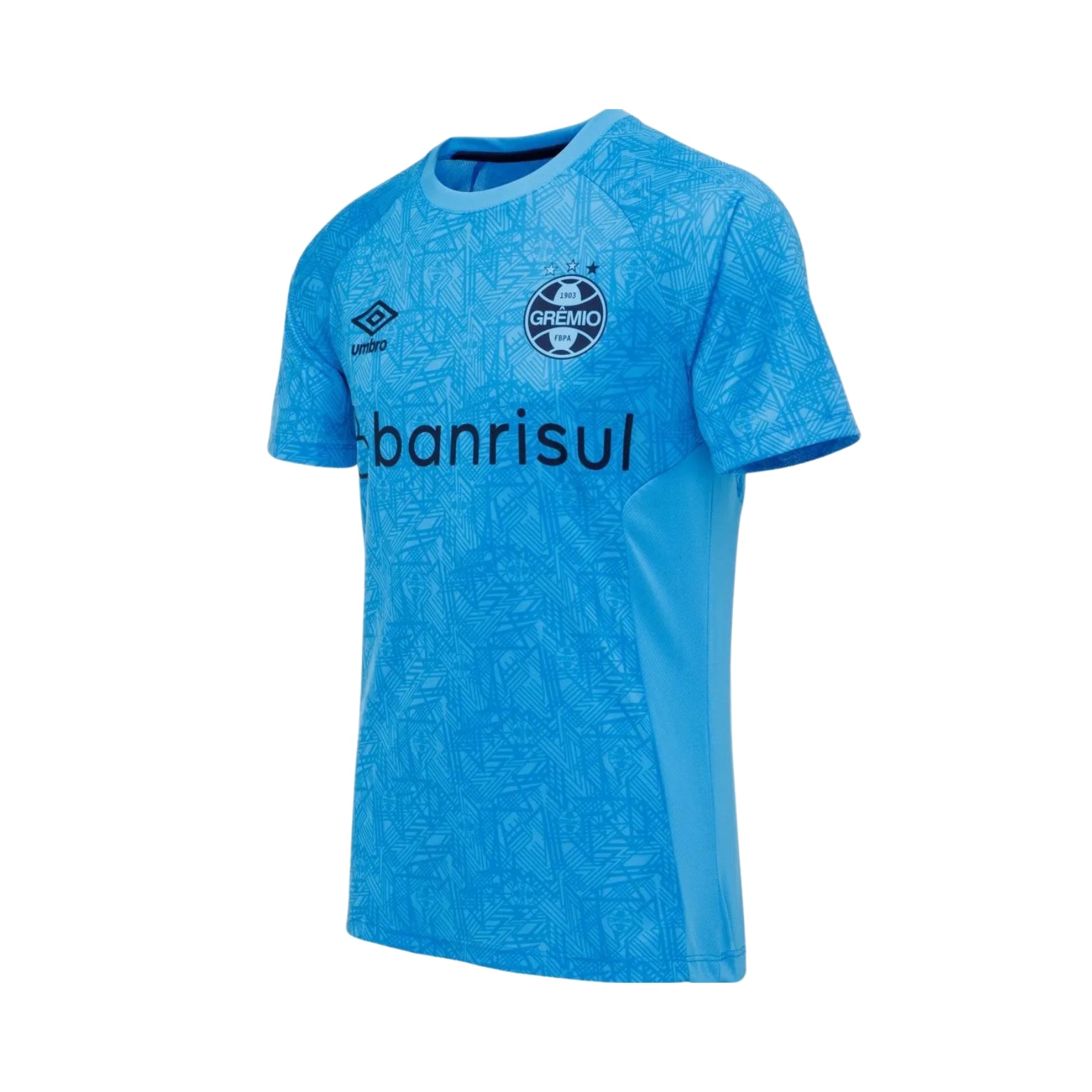 Grêmio Treino 24/25