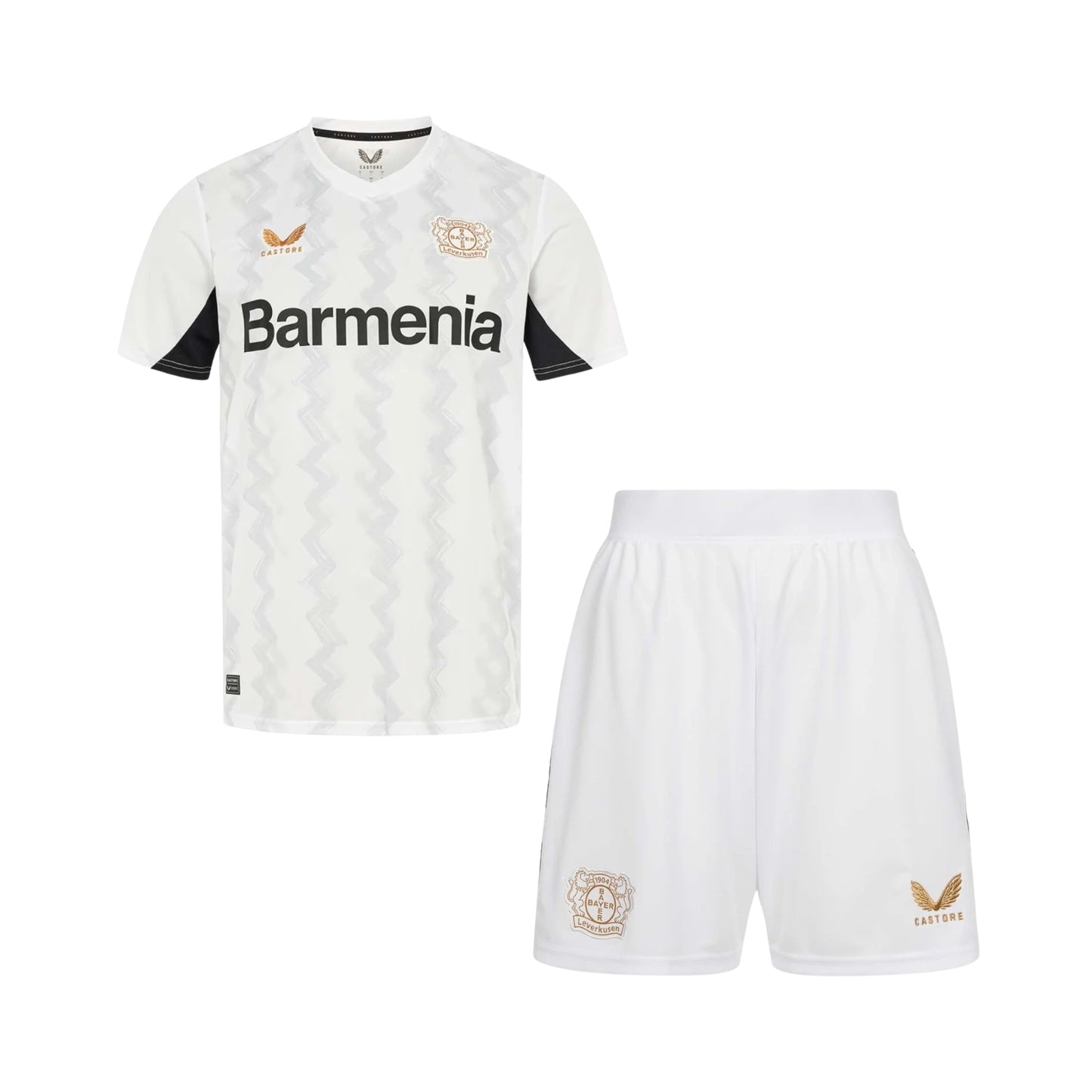 Kit - Bayer 04 Leverkusen Alternativa 24/25