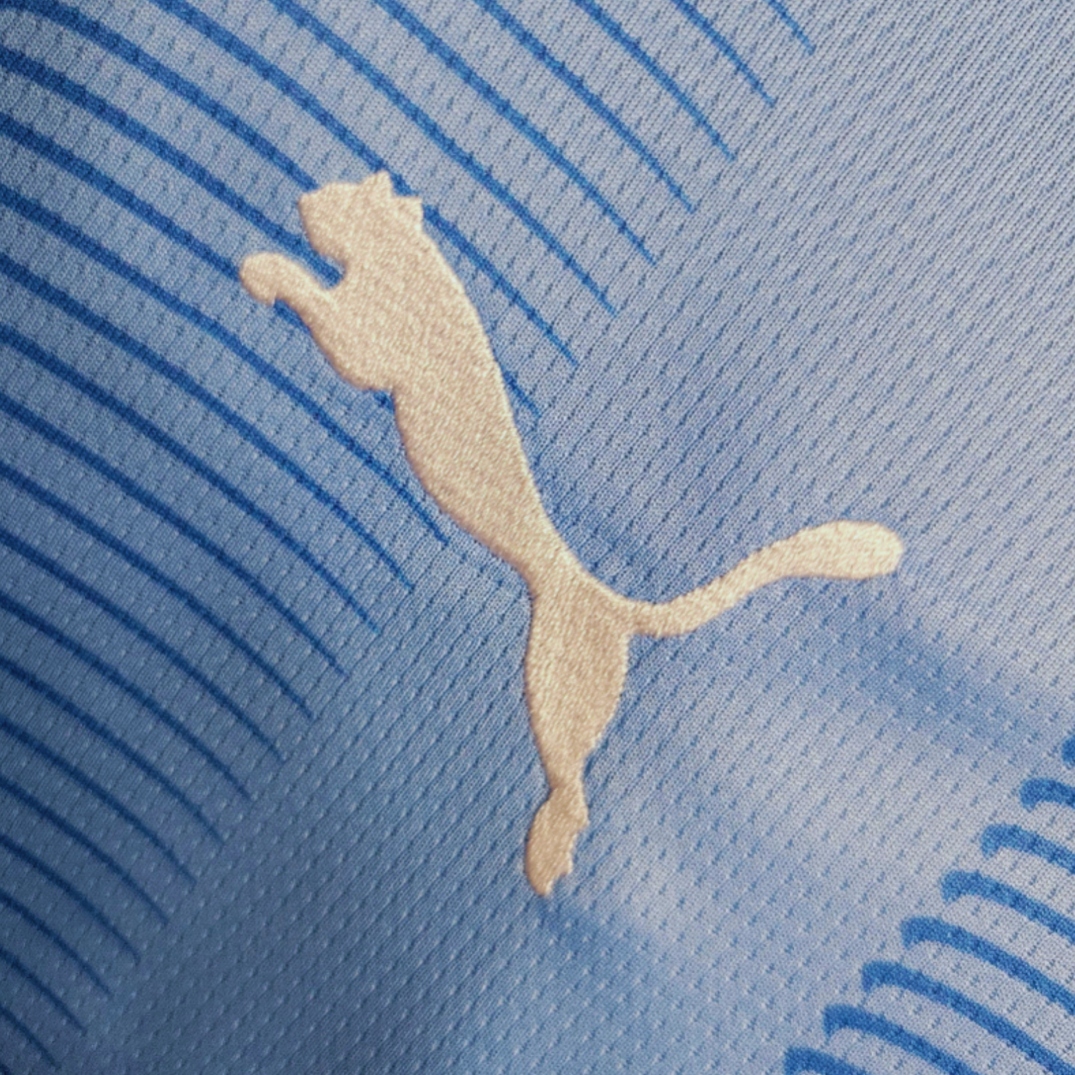 Manchester City Principal 23/24