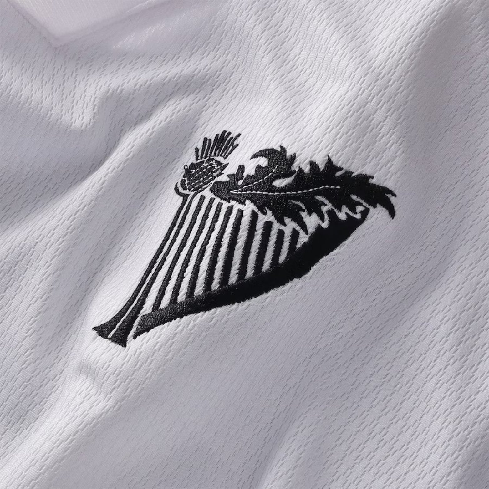 Hibernian Edição Especial 25/26 - 150º Aniversário - Manga Comprida