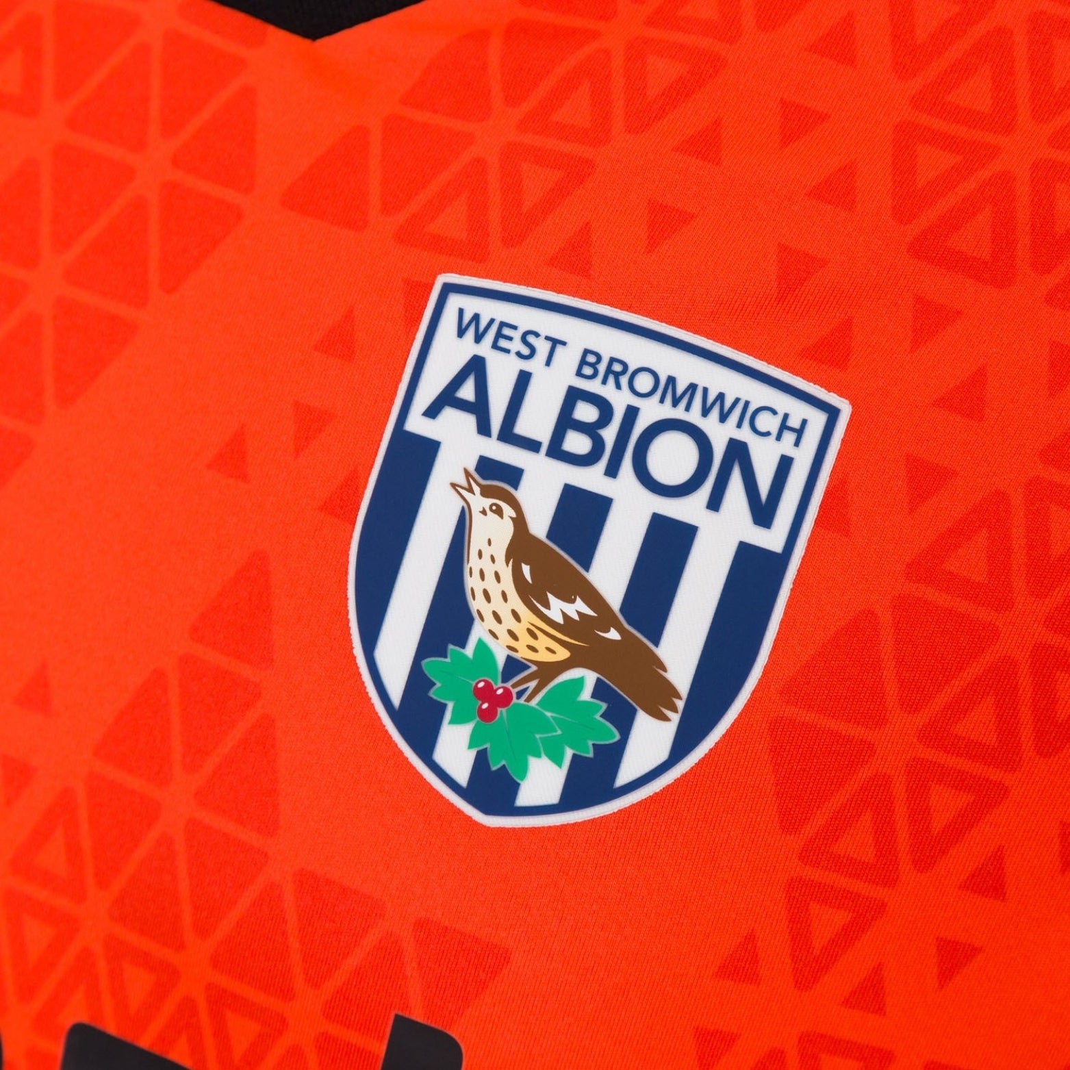West Bromwich Albion Guarda-Redes 25/26