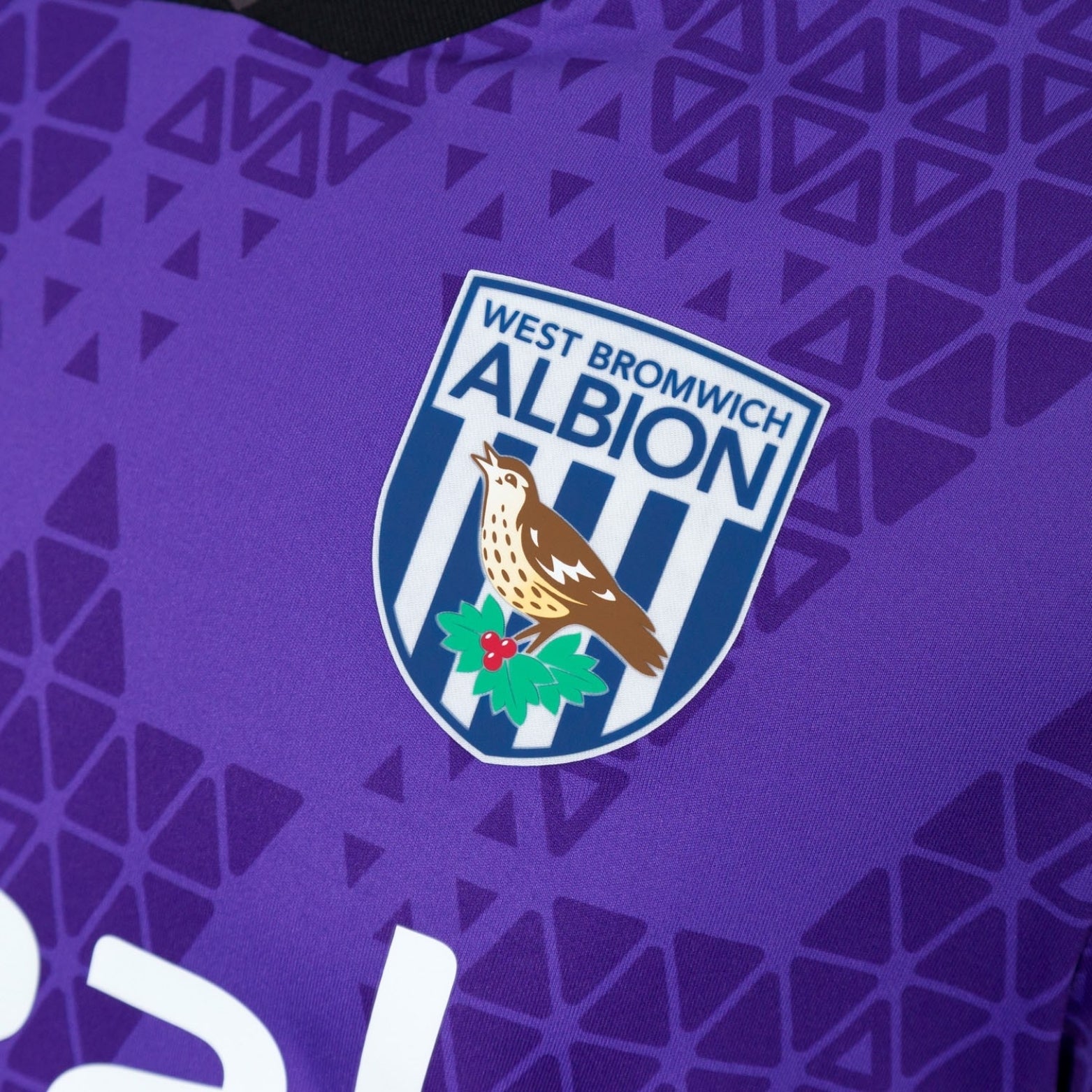 West Bromwich Albion Guarda-Redes 25/26
