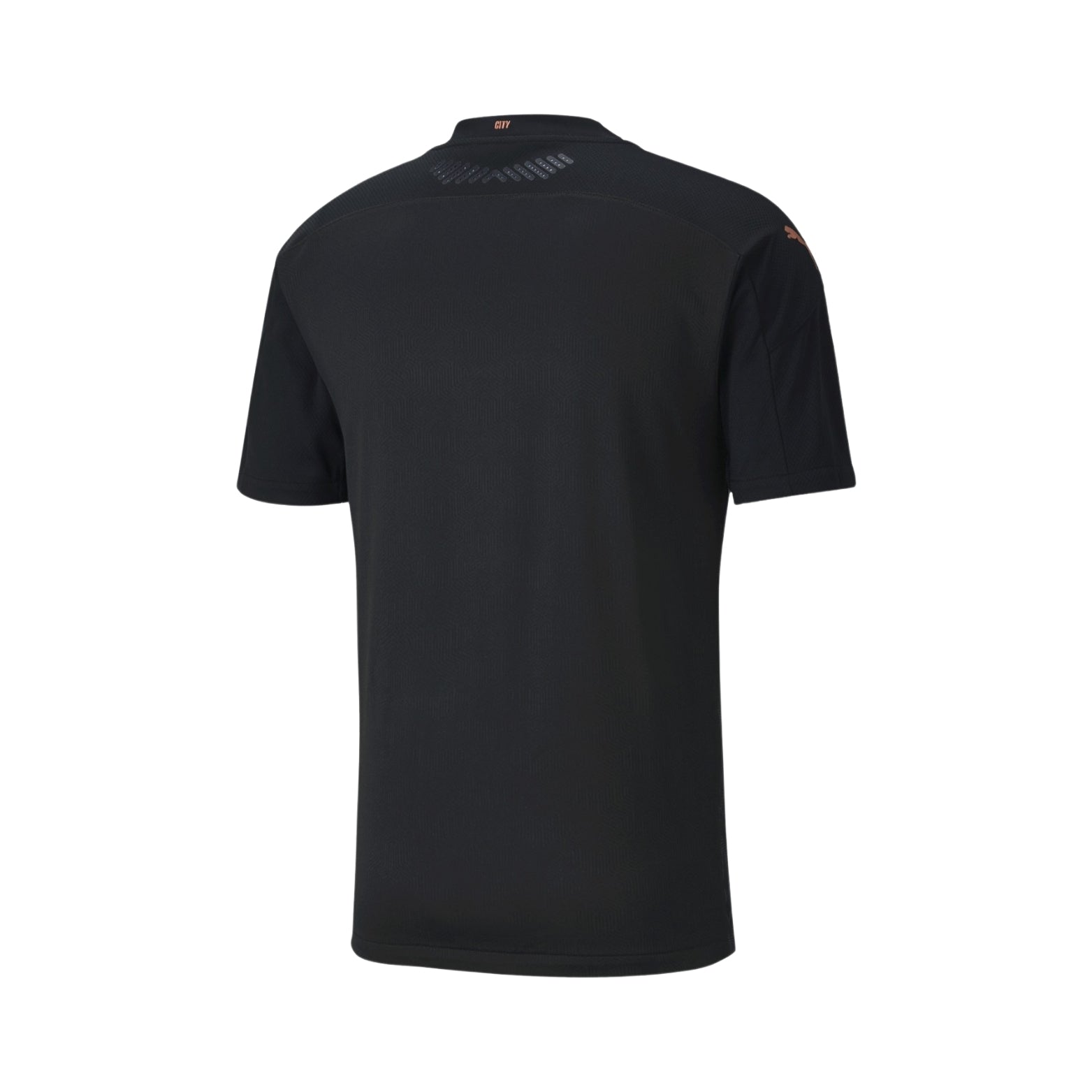 Manchester City Alternative 20/21