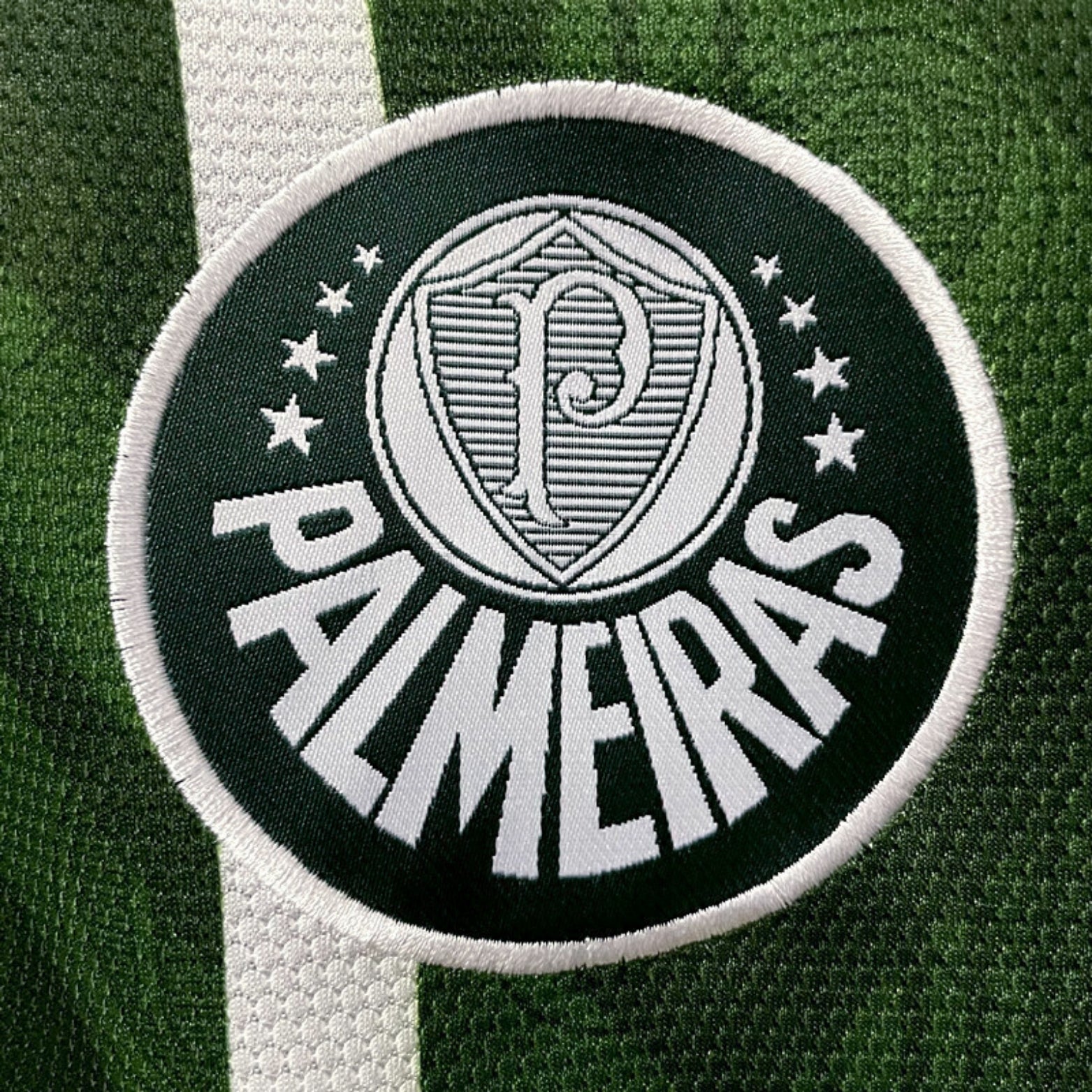 Palmeiras Principal 95/96