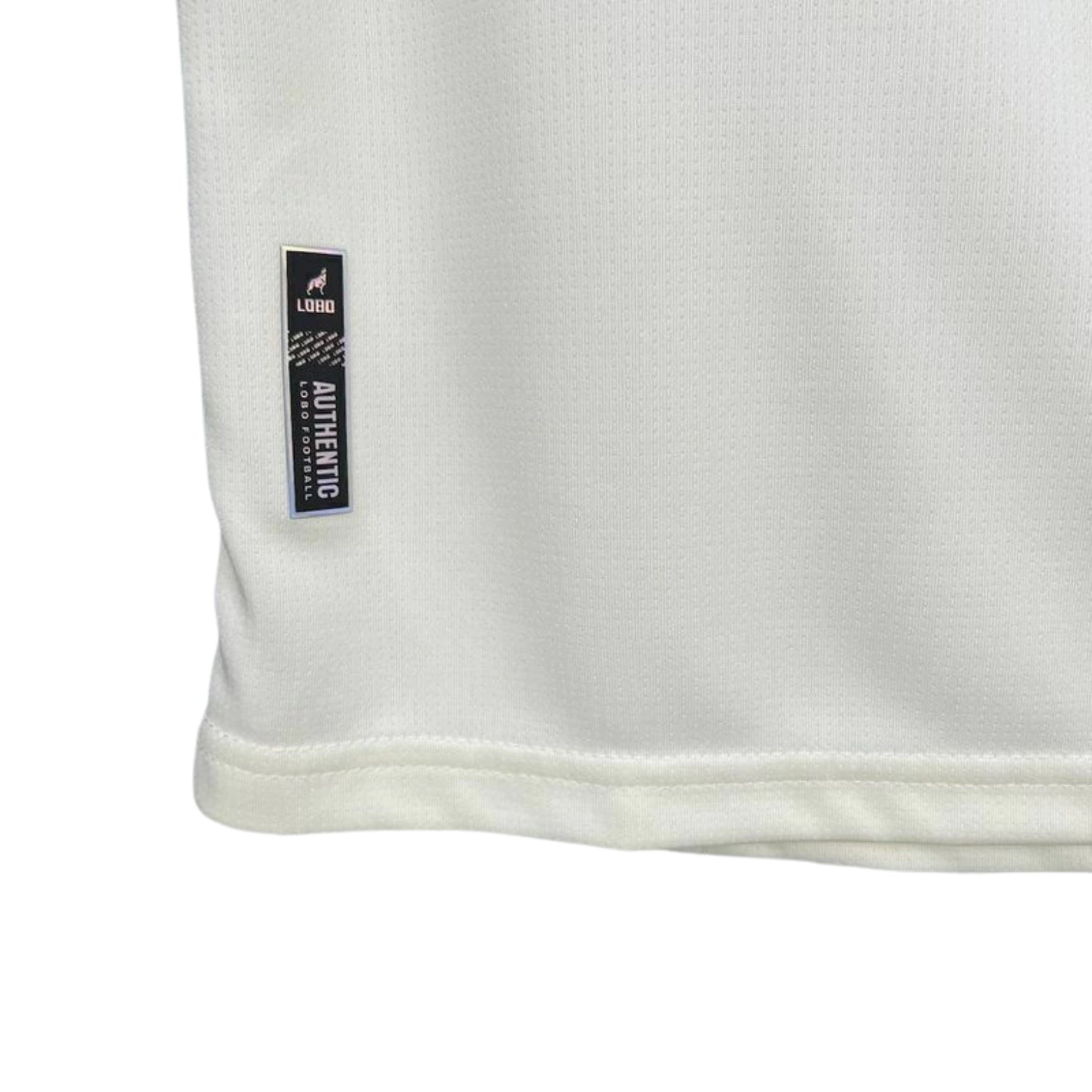 Paysandu Treino 25/26