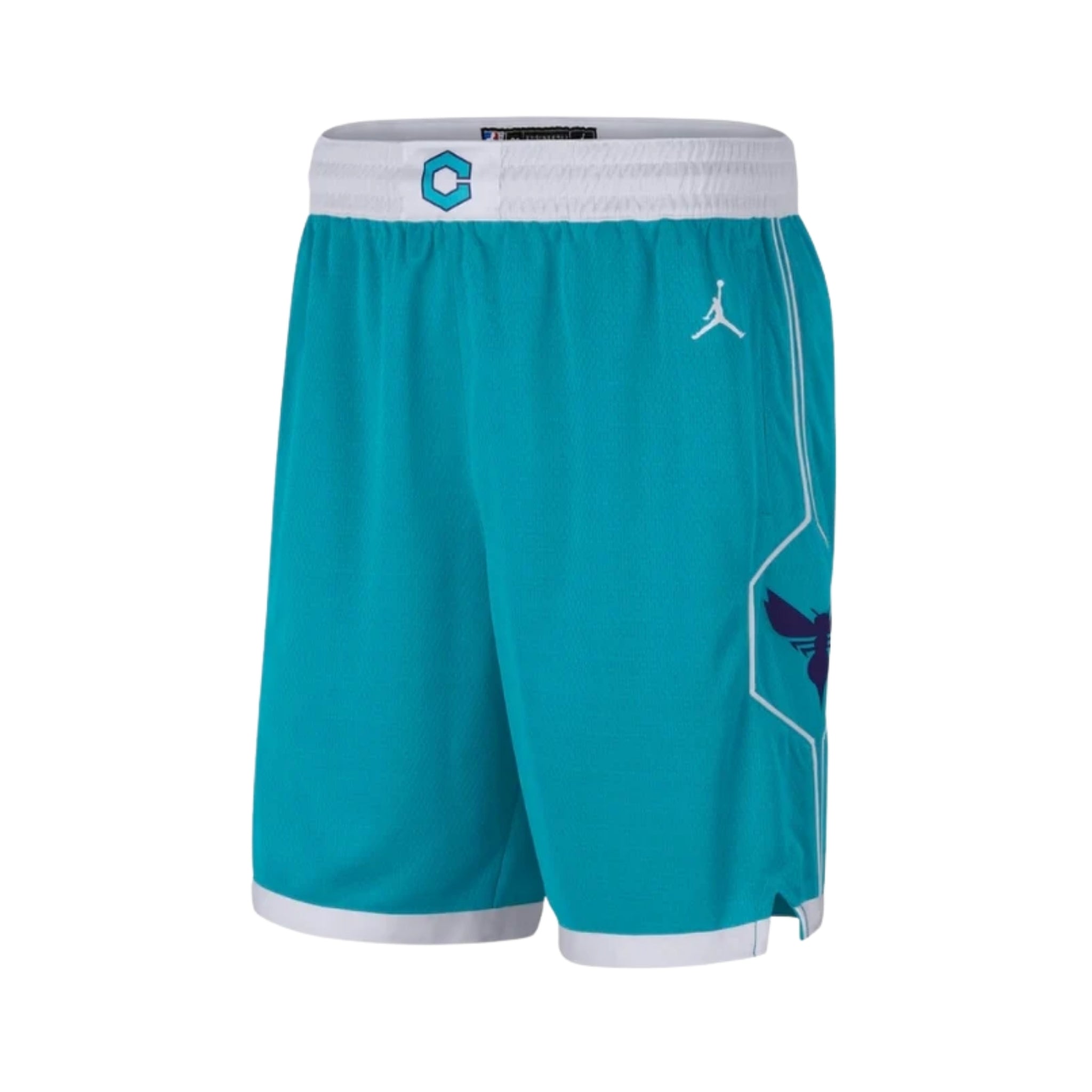 Charlotte Hornets Icon Edition 25/26